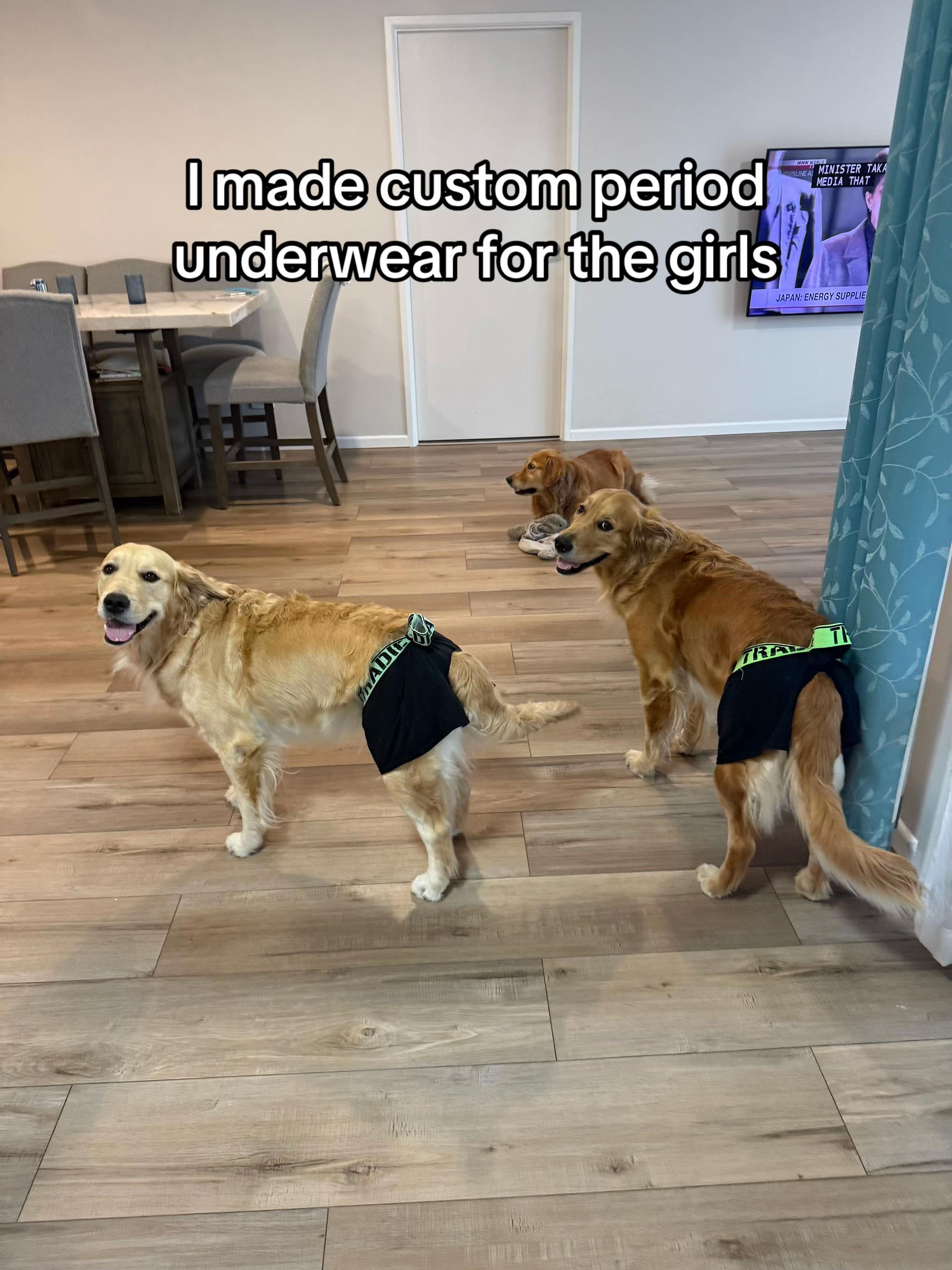 @3goldenretriever