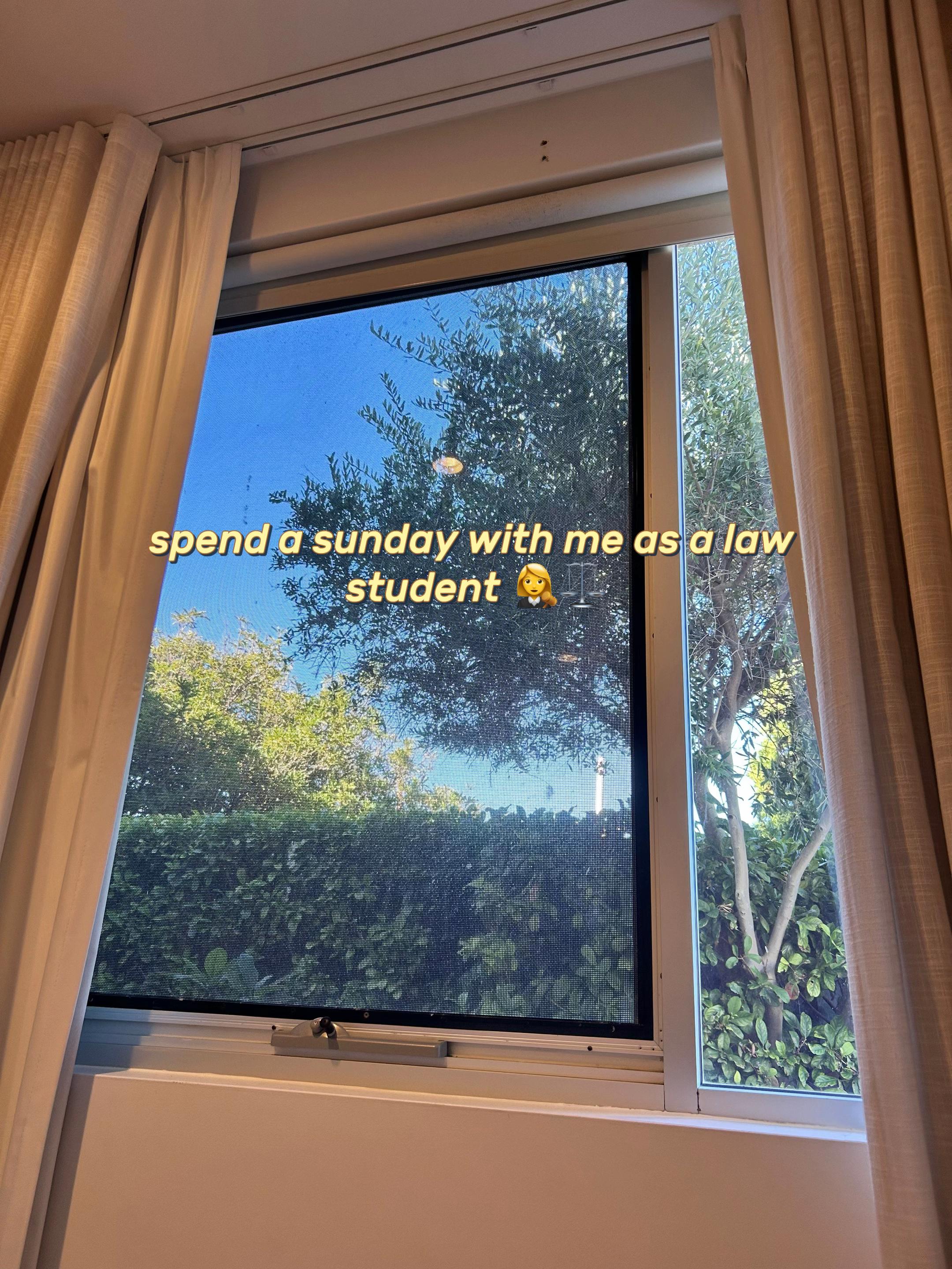 @leila