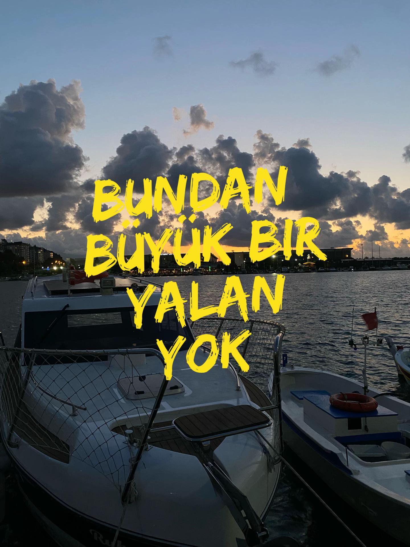 @aysenurd_52
