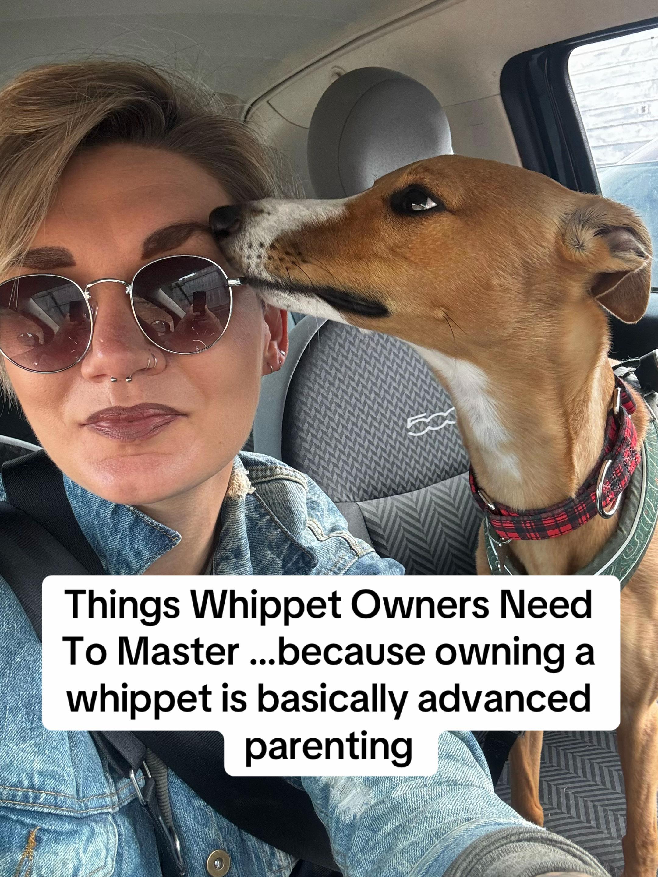 @Sam and her whippet