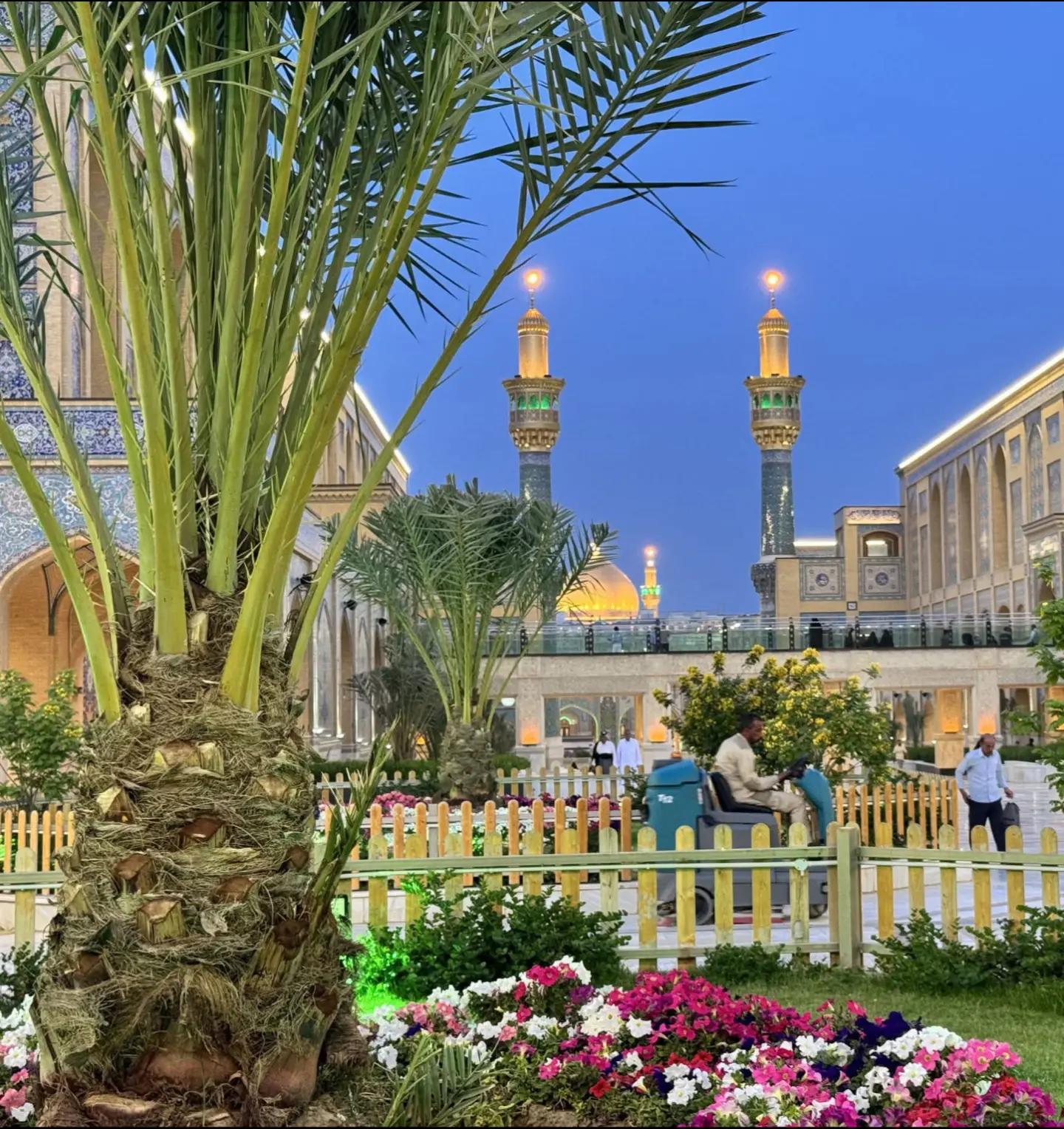 @علامہ ناصر عباس ملتان