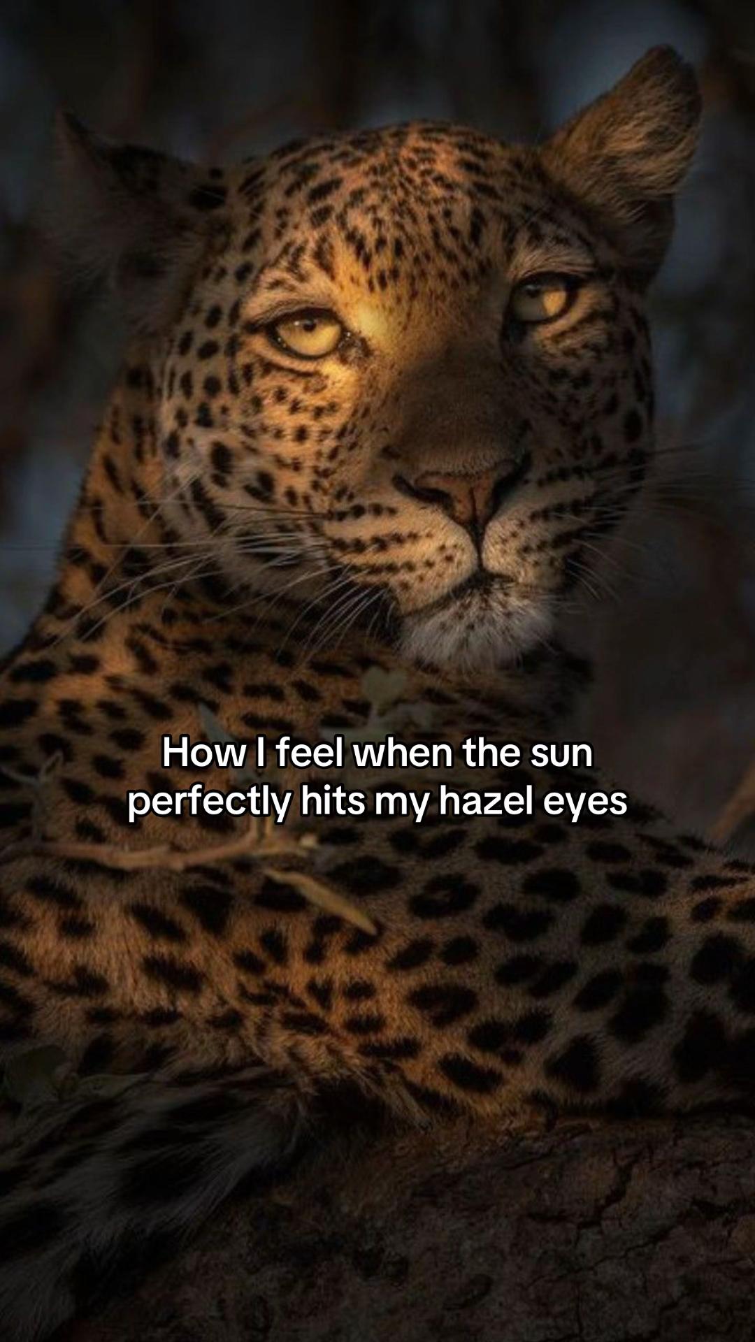 @Daniela