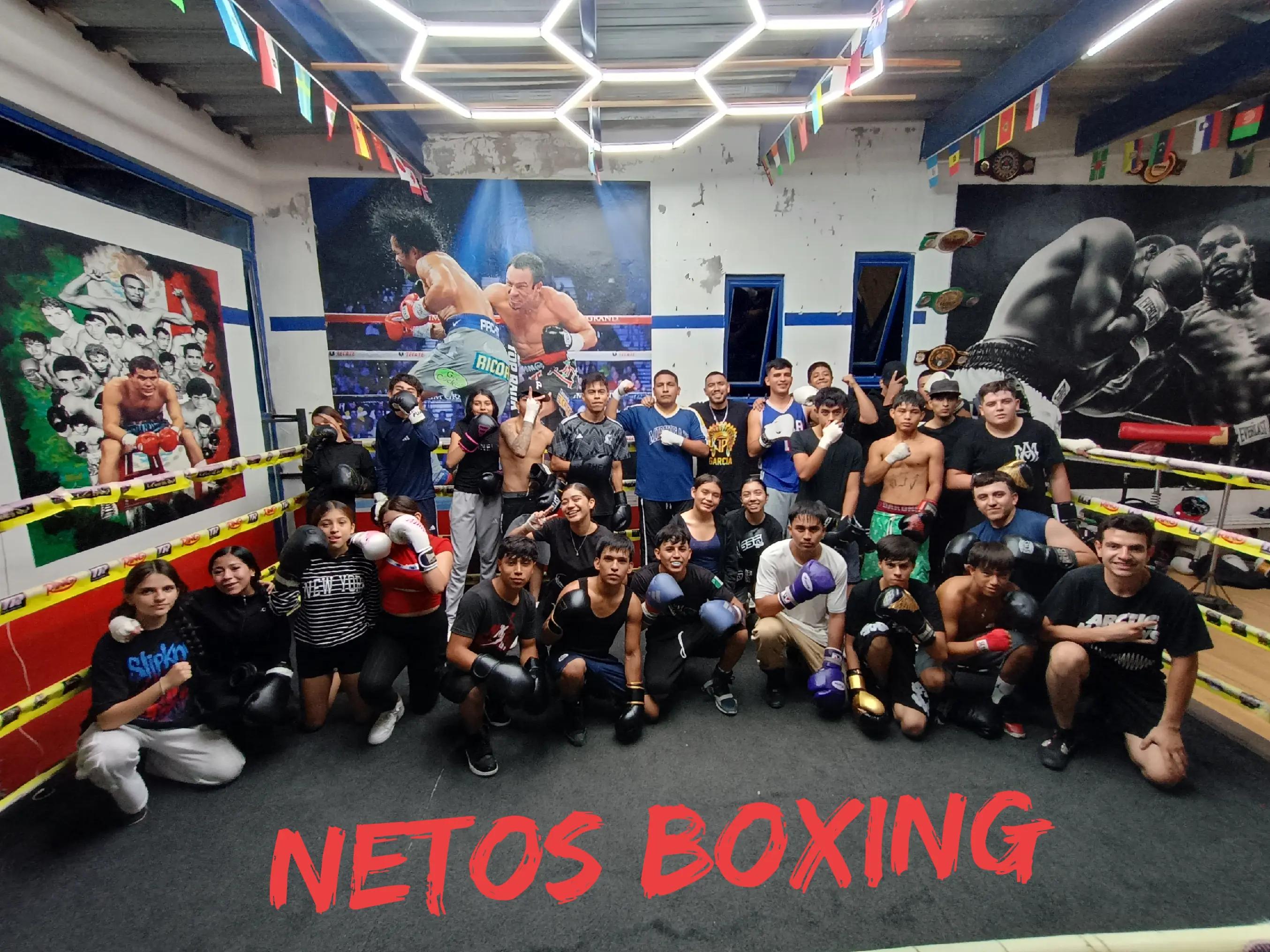 @netos boxing