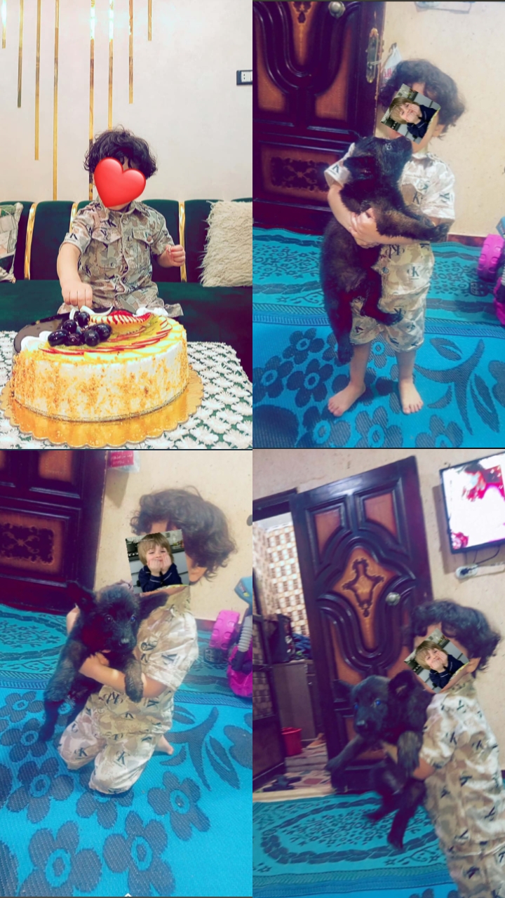 @hananahmad