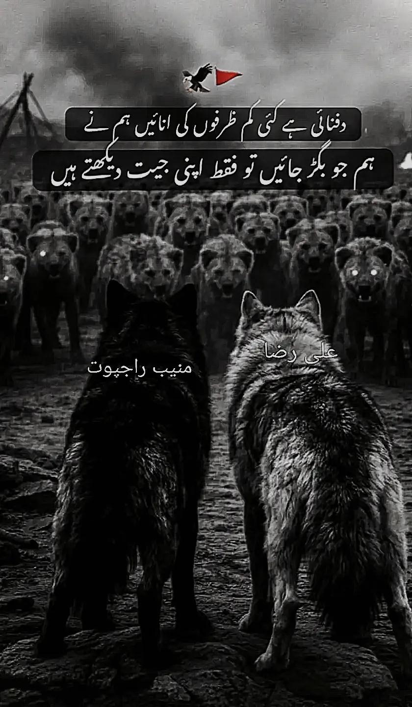 @🏴&zwj;☠️❤️&zwj;🔥༒ALIRAZAᴮᴼˢˢ🔱🚩⚔️