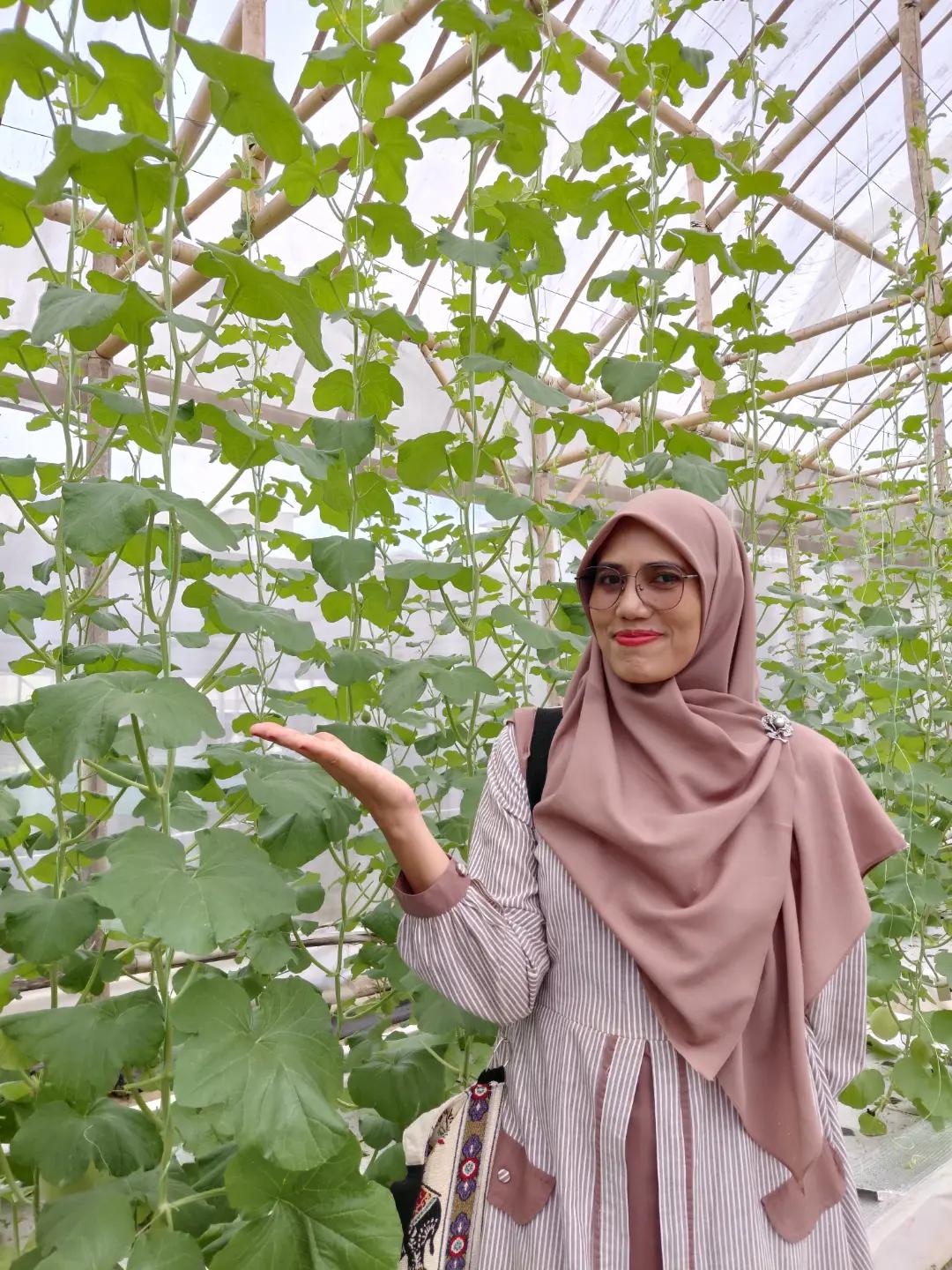 @serli nadiah putri