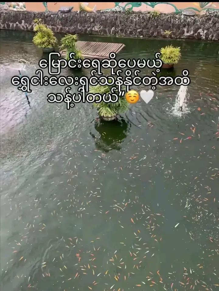 @𝐙💭