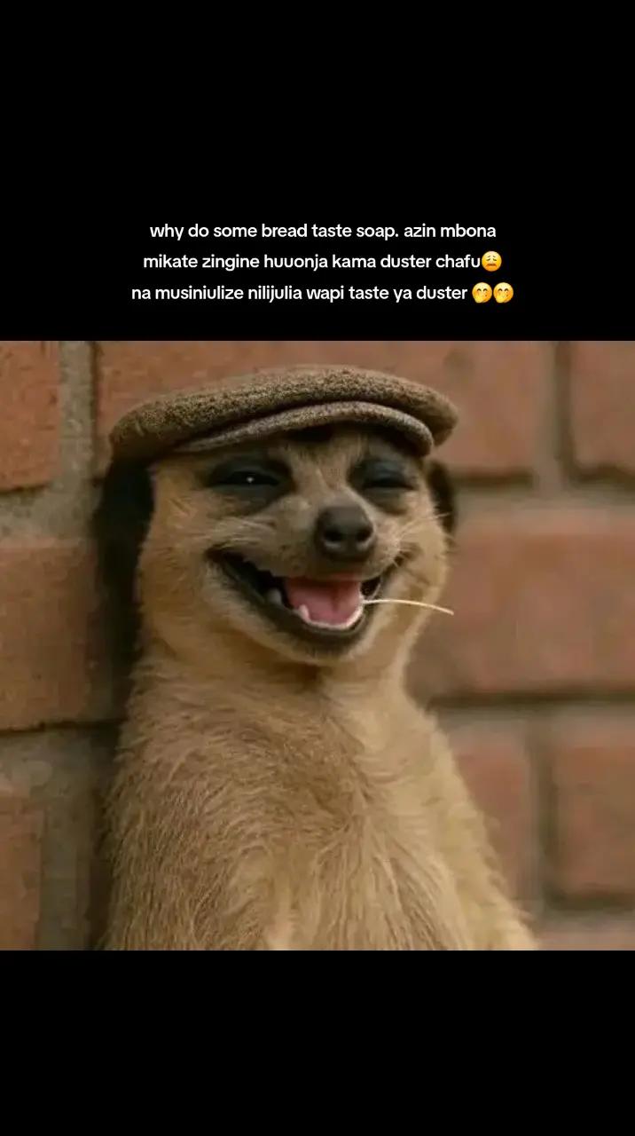 @milliana💖❤💖💘