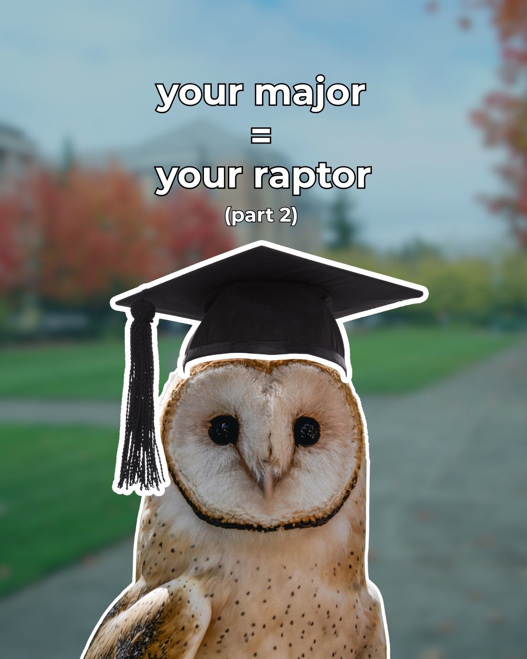 @Carolina Raptor Center