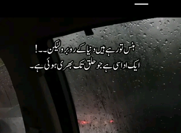 @Mehar zaddi🔥