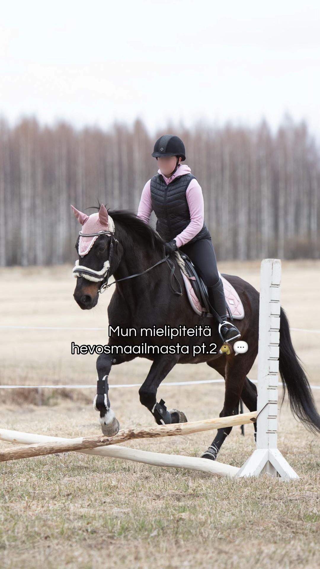 @krista || ig kayhkodressage