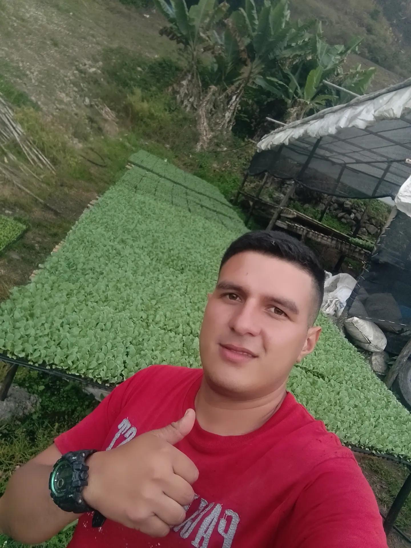 @Daniel Mendoza