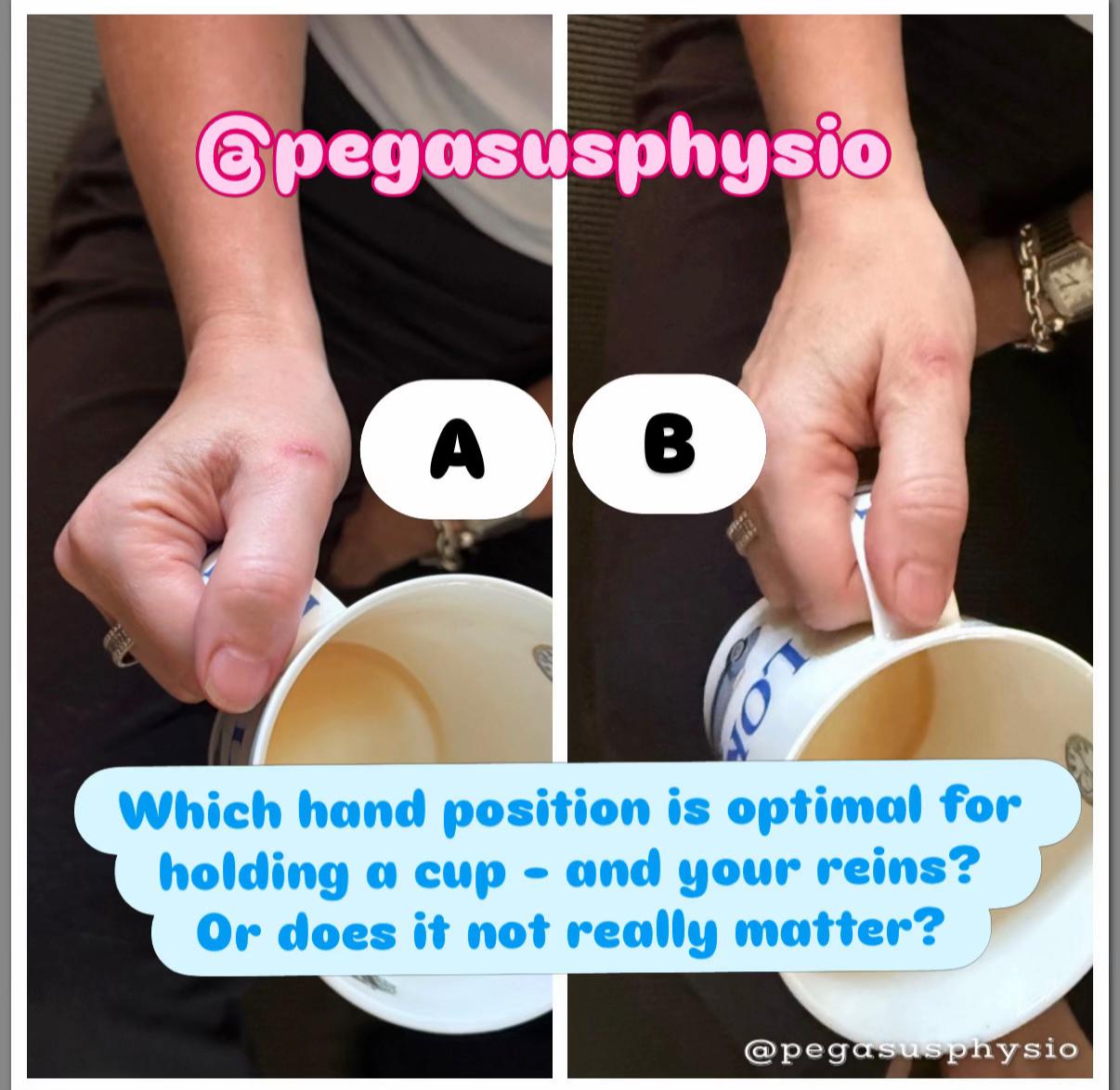 @Pegasus Physio
