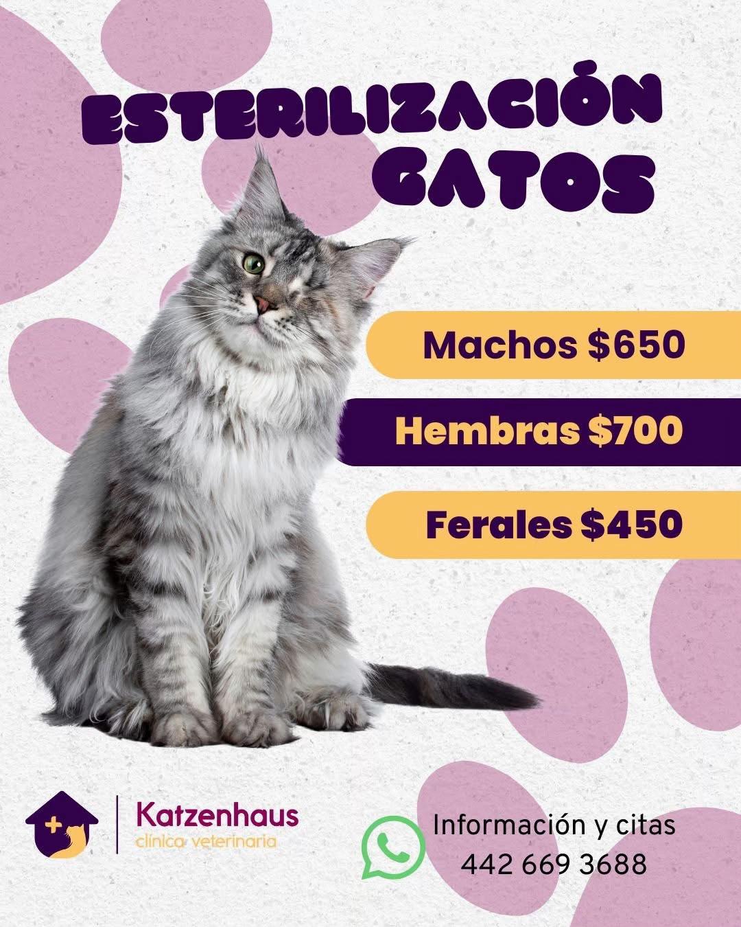 @Foraneosenqueretaro