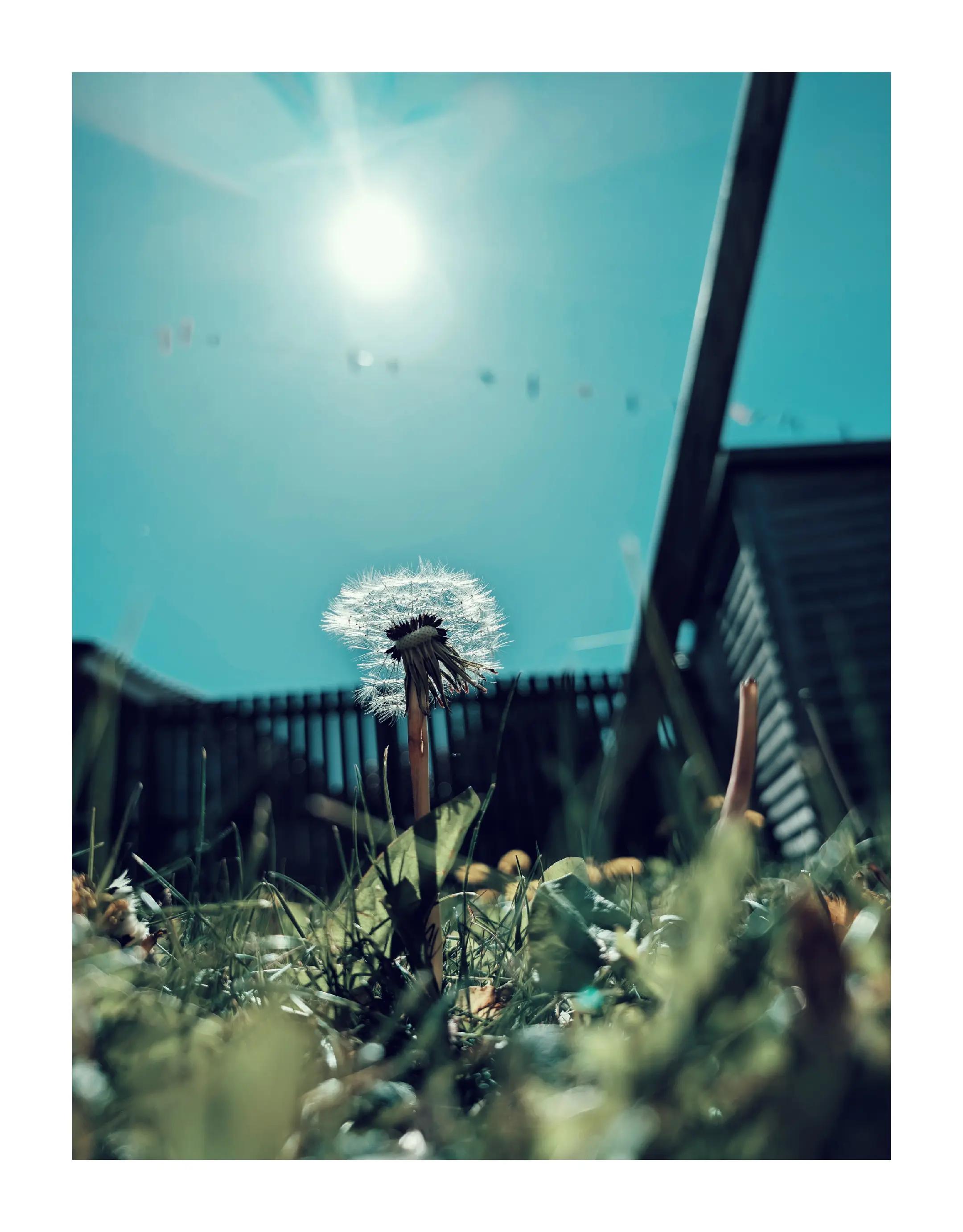 @David Mark Photography