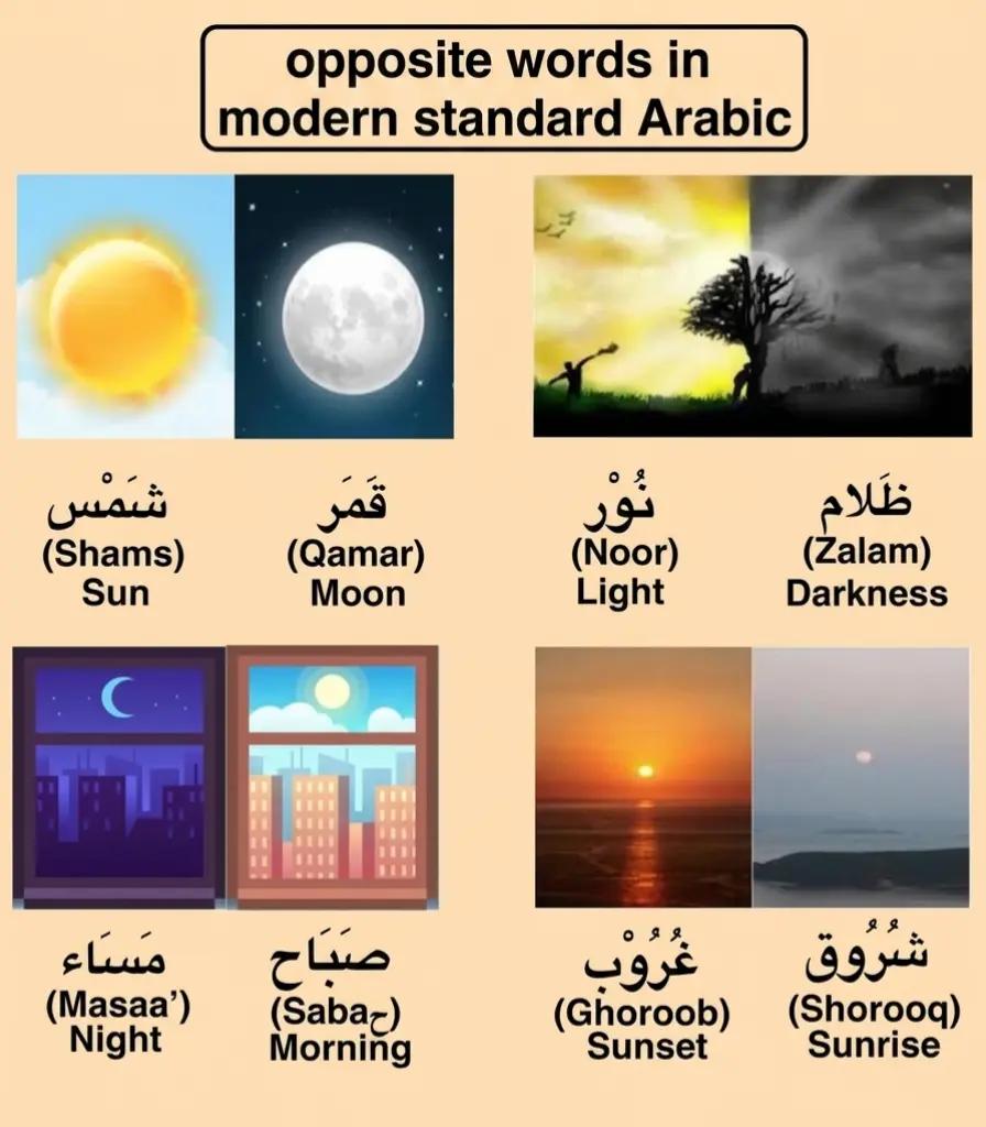 @speakarabi
