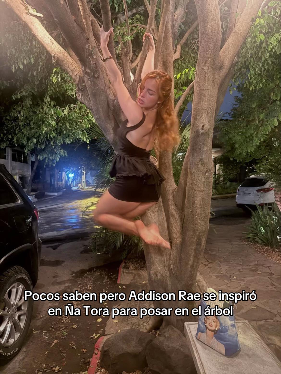 @Dua Lipa Guaraní