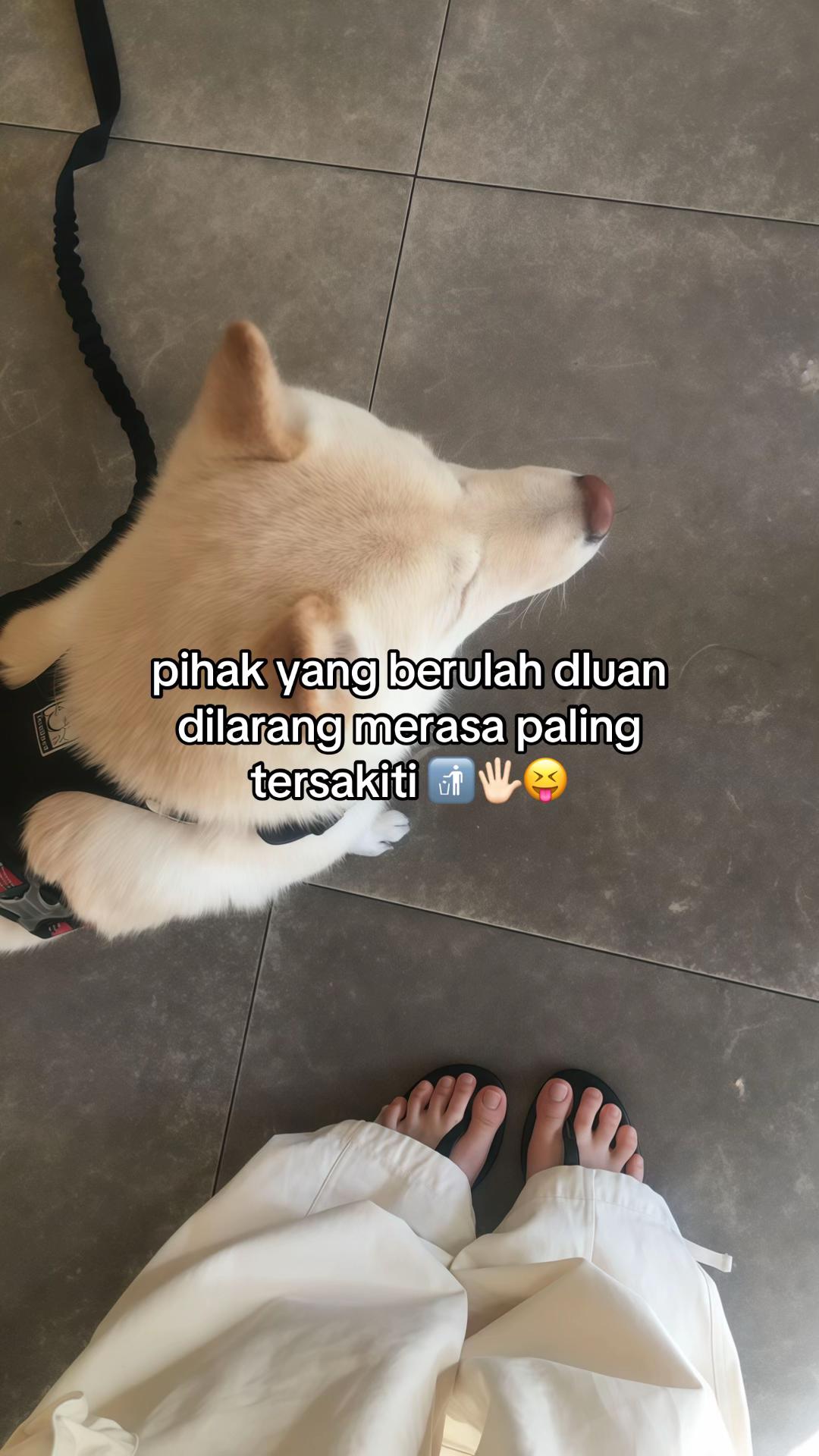 @️