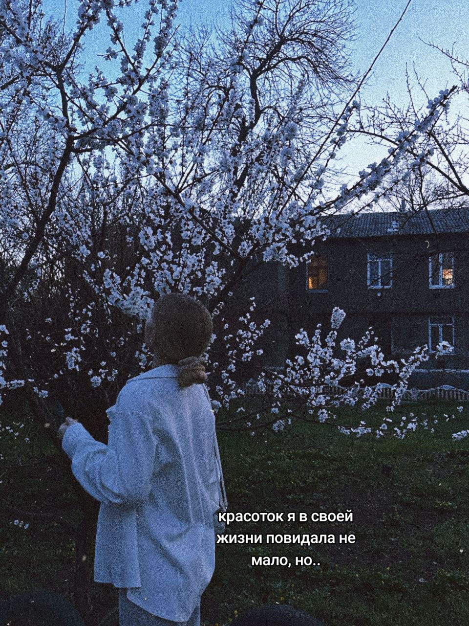 @лерочка
