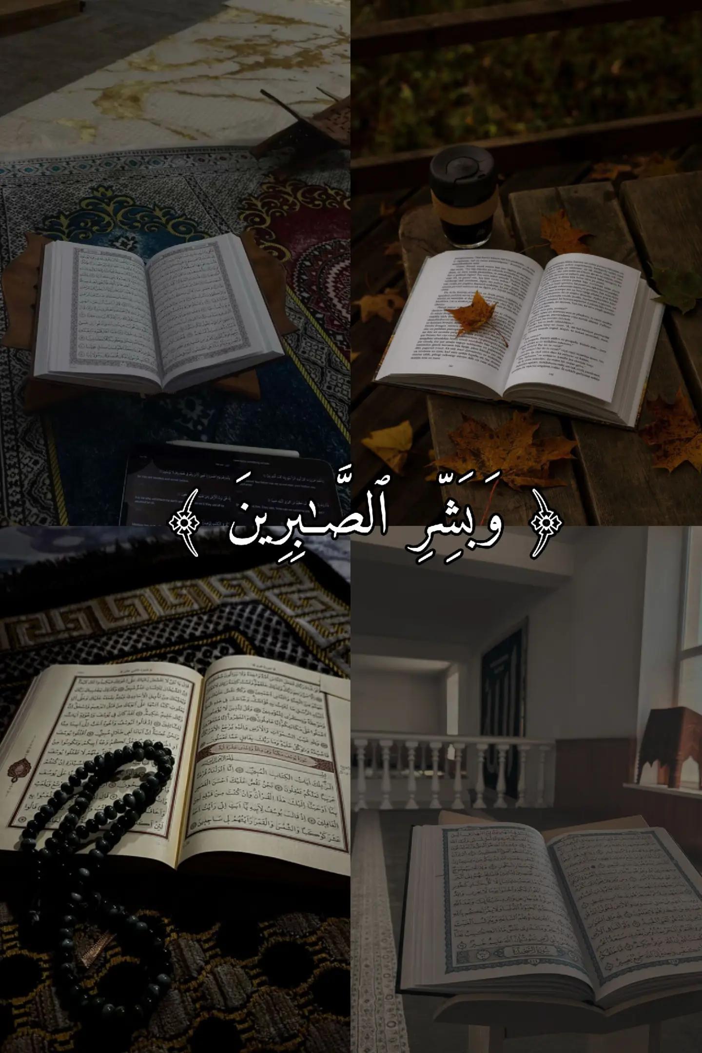 @𝑄 𝑈 𝑅 𝐴 𝑁 🖤