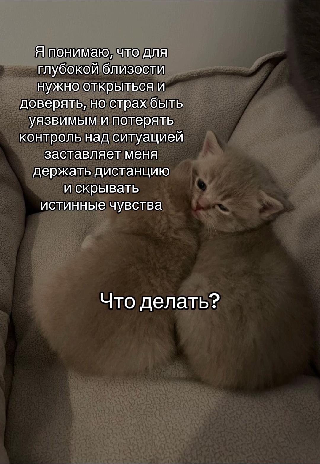 @тгк: психология с марго