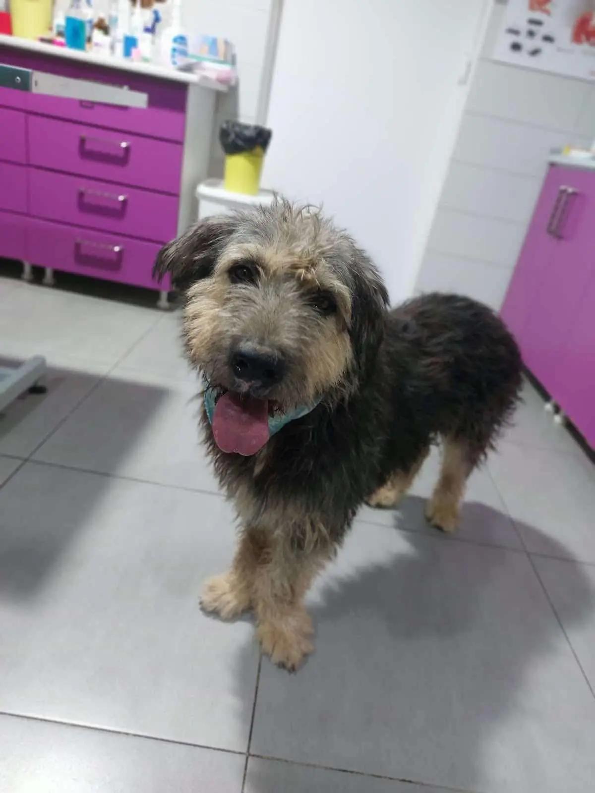 @rescuersalexandria