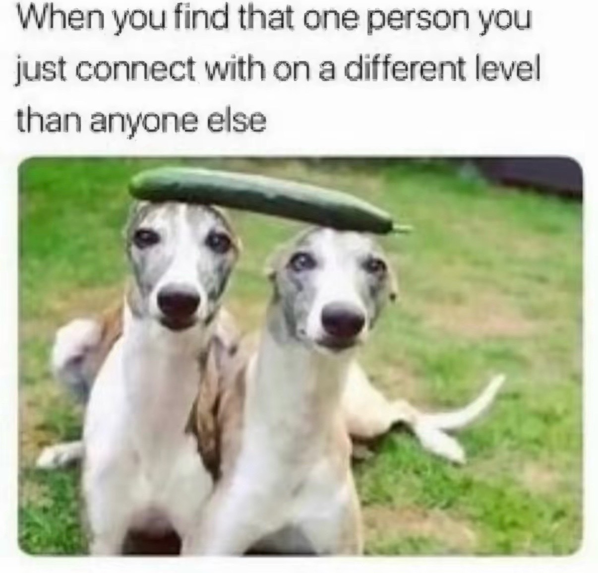 @bareleehere
