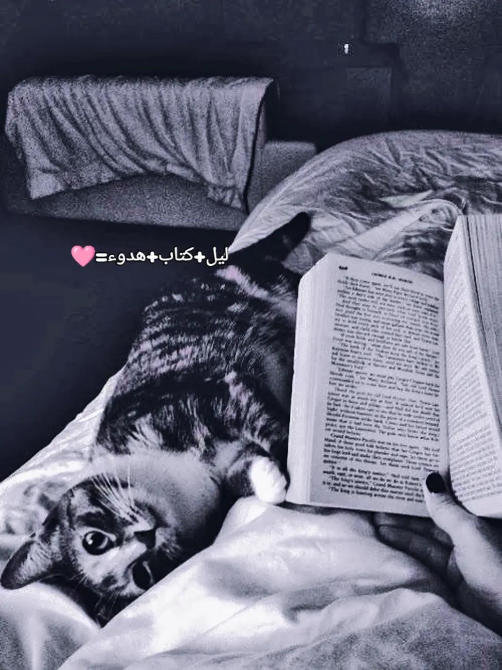 @Alyaa Reads📚💜