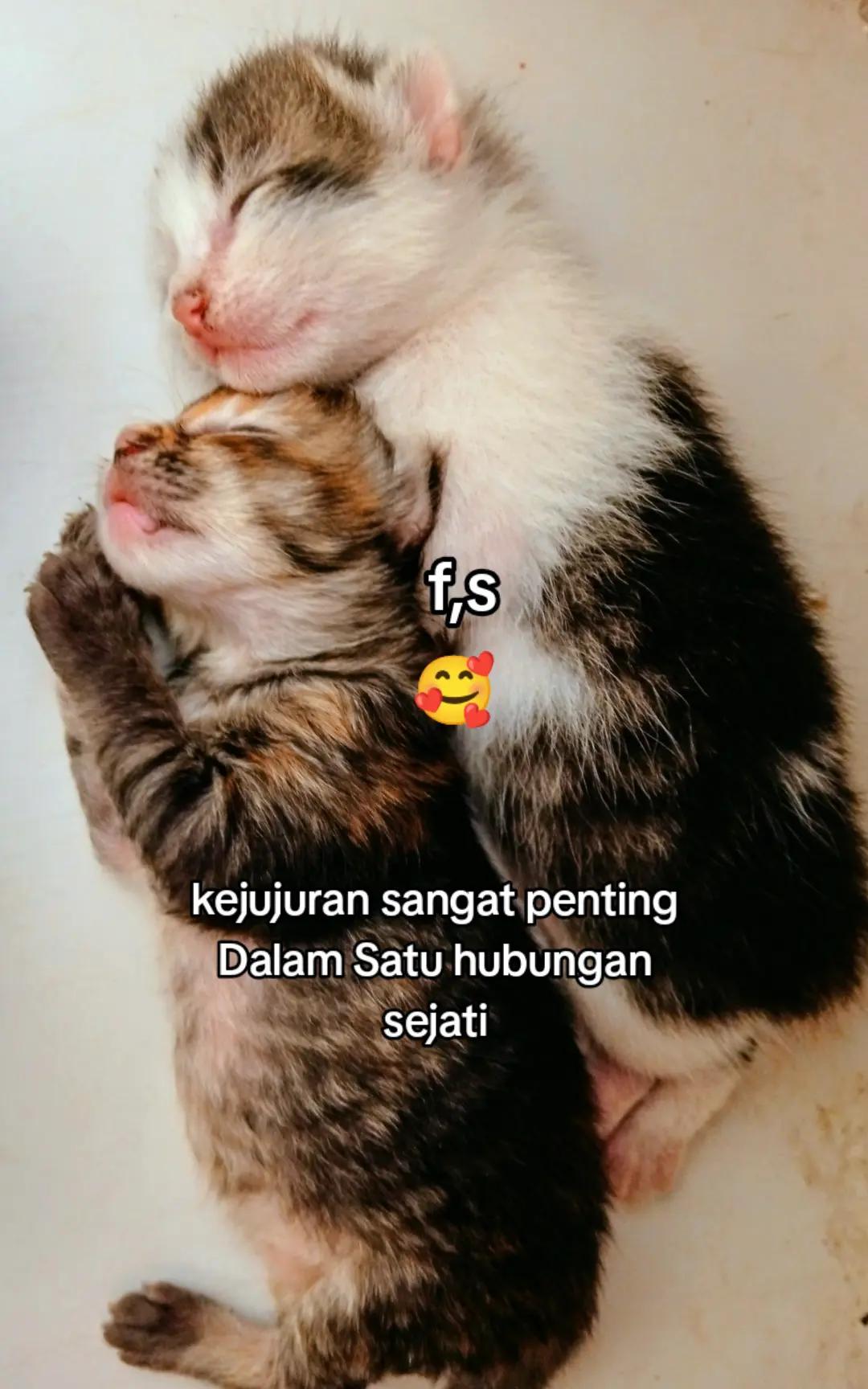 @NURSHILA🇲🇾