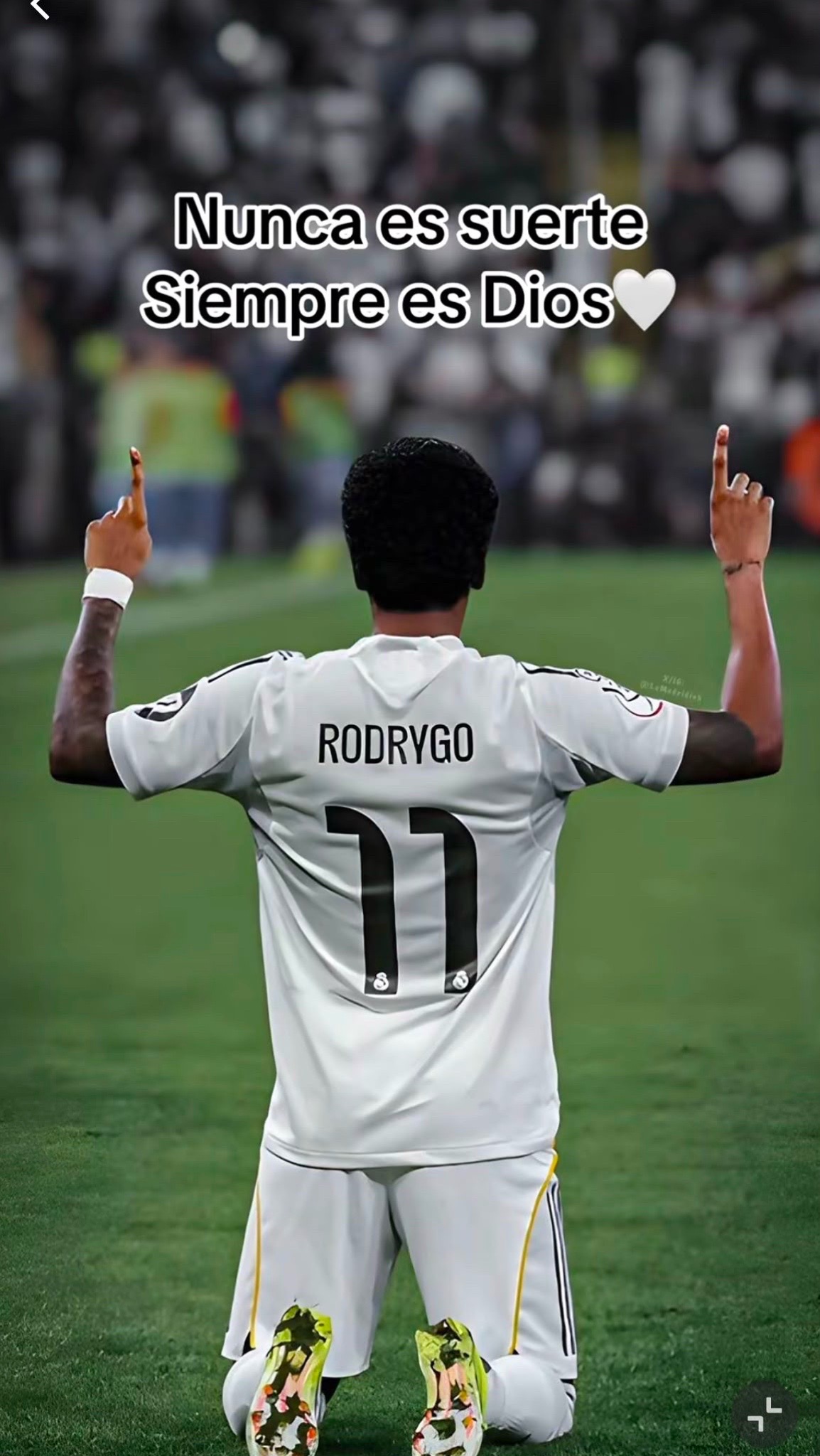 @Rodrygo 🤍(•_•)