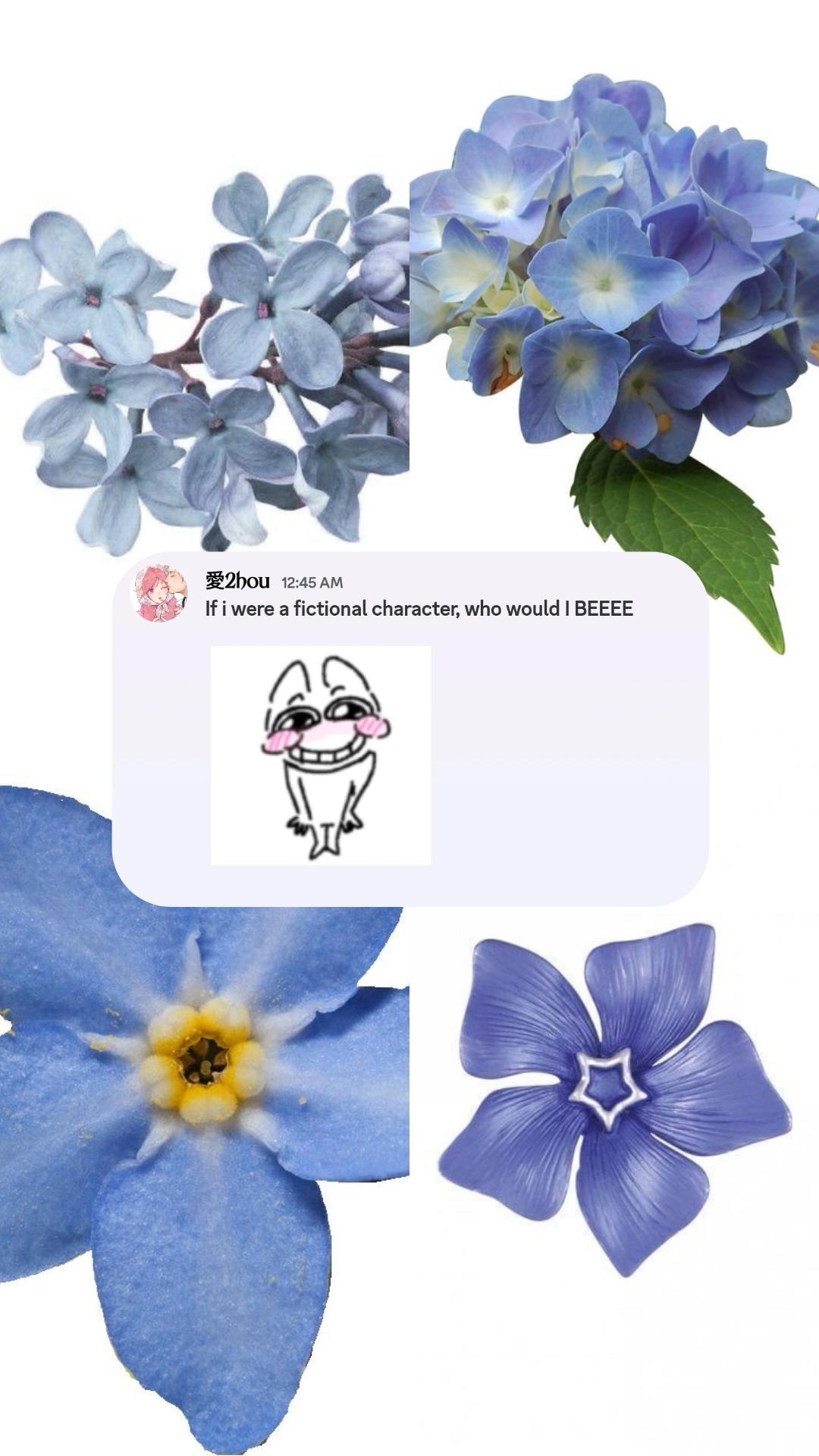 @shiuushokoo