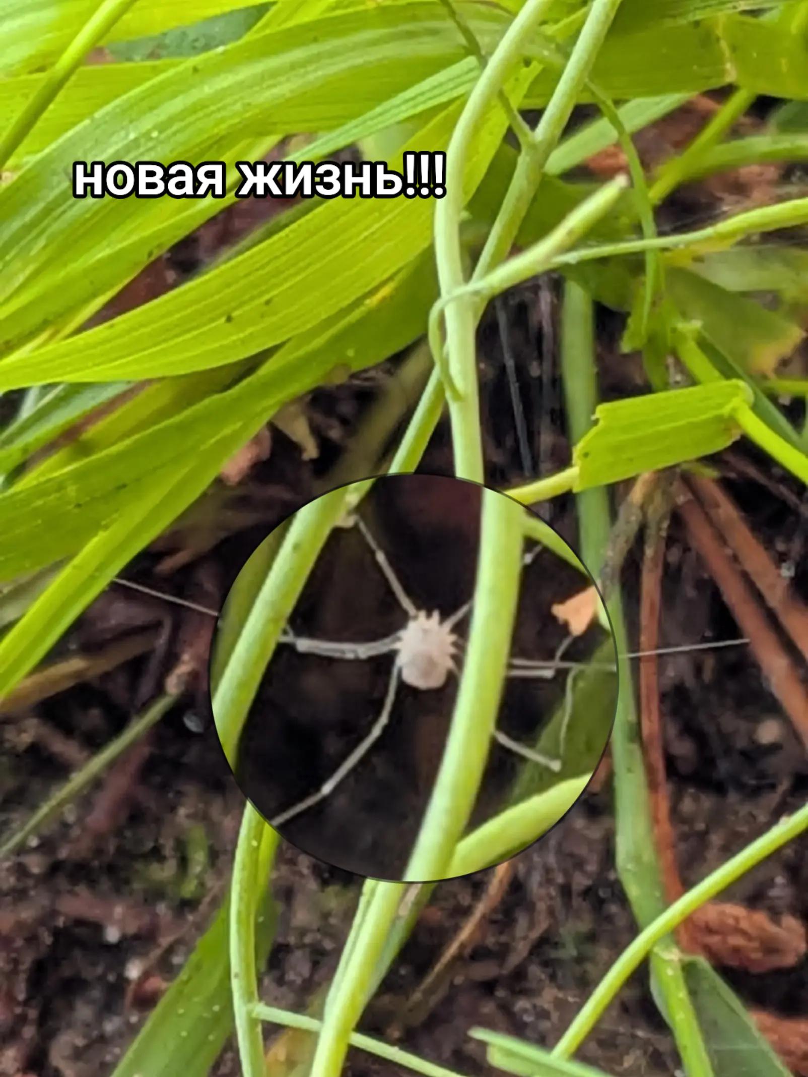 @ЖИЗНЬ В КОРОБКЕ