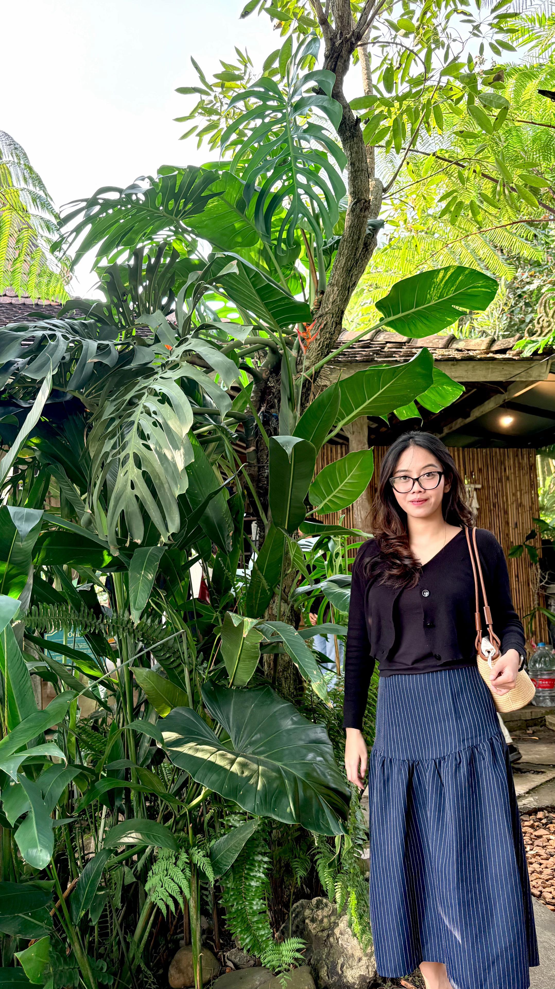 @nanasiph