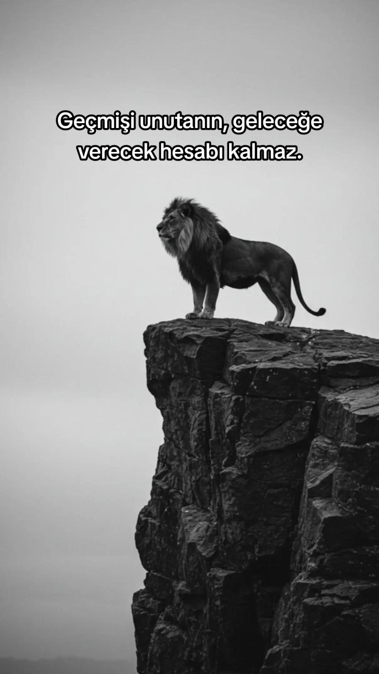 @ZEKİ KARA