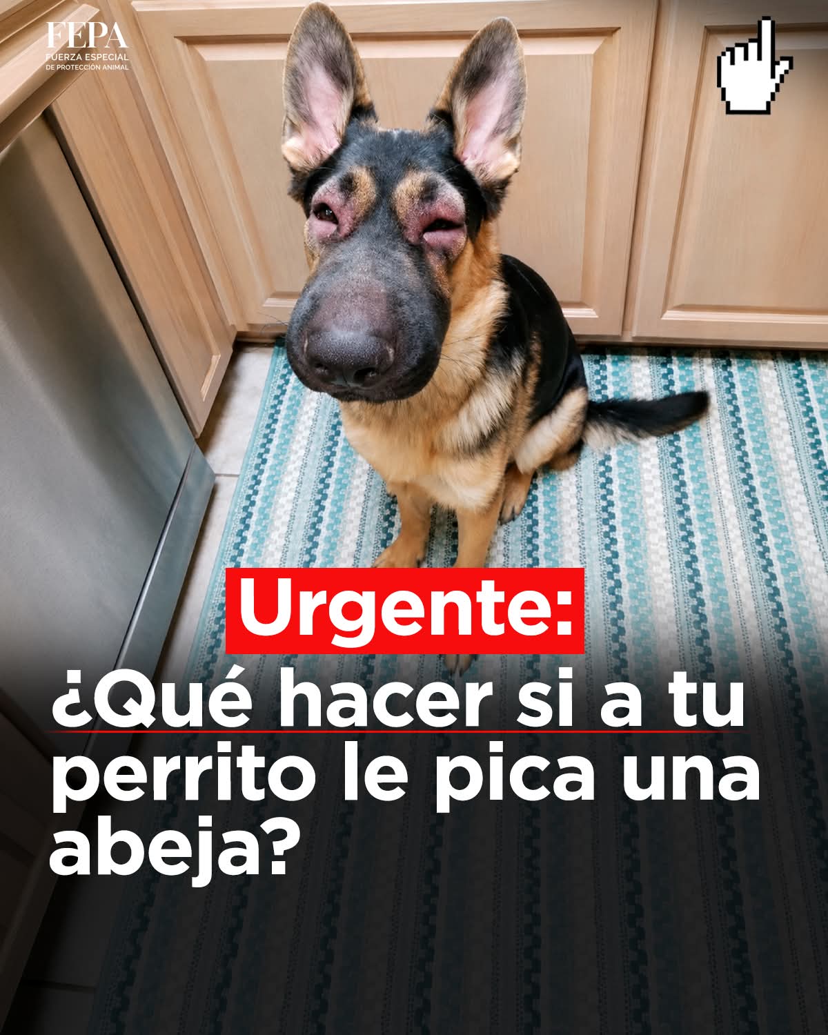 @YAWARU