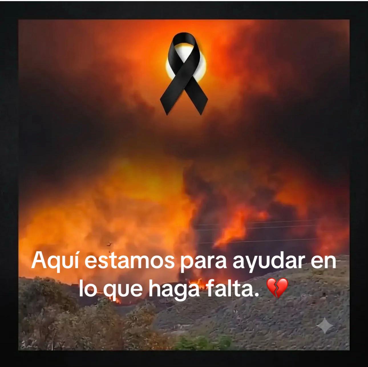 @aguiproan_protectora