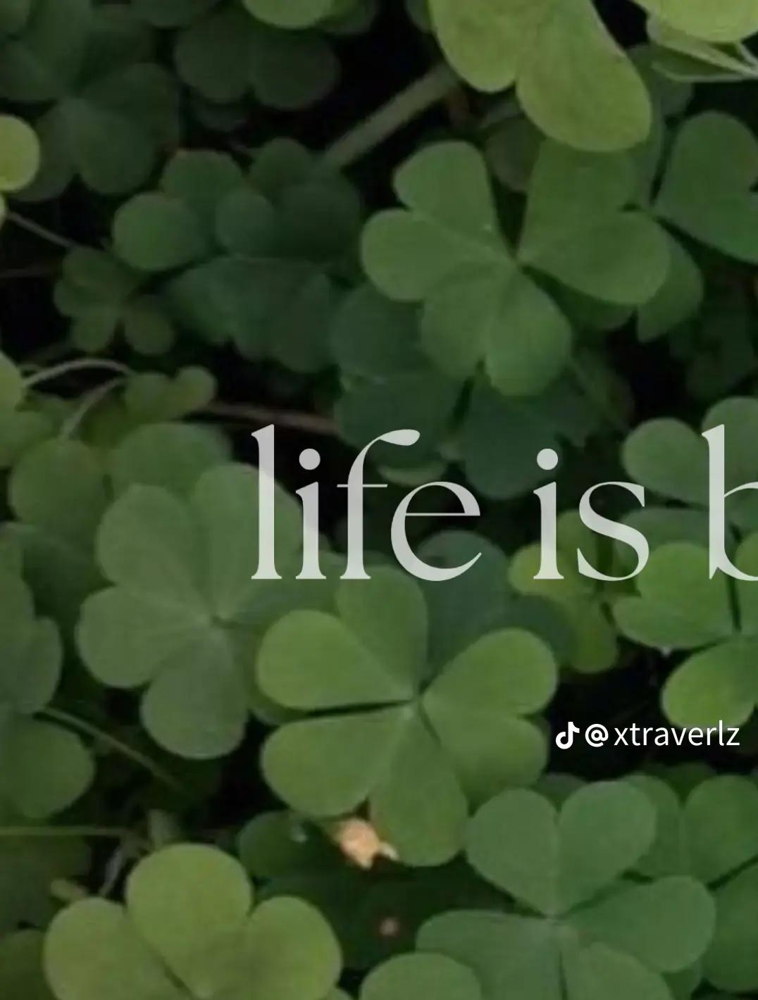 @🍀🧩Clover🧩🍀