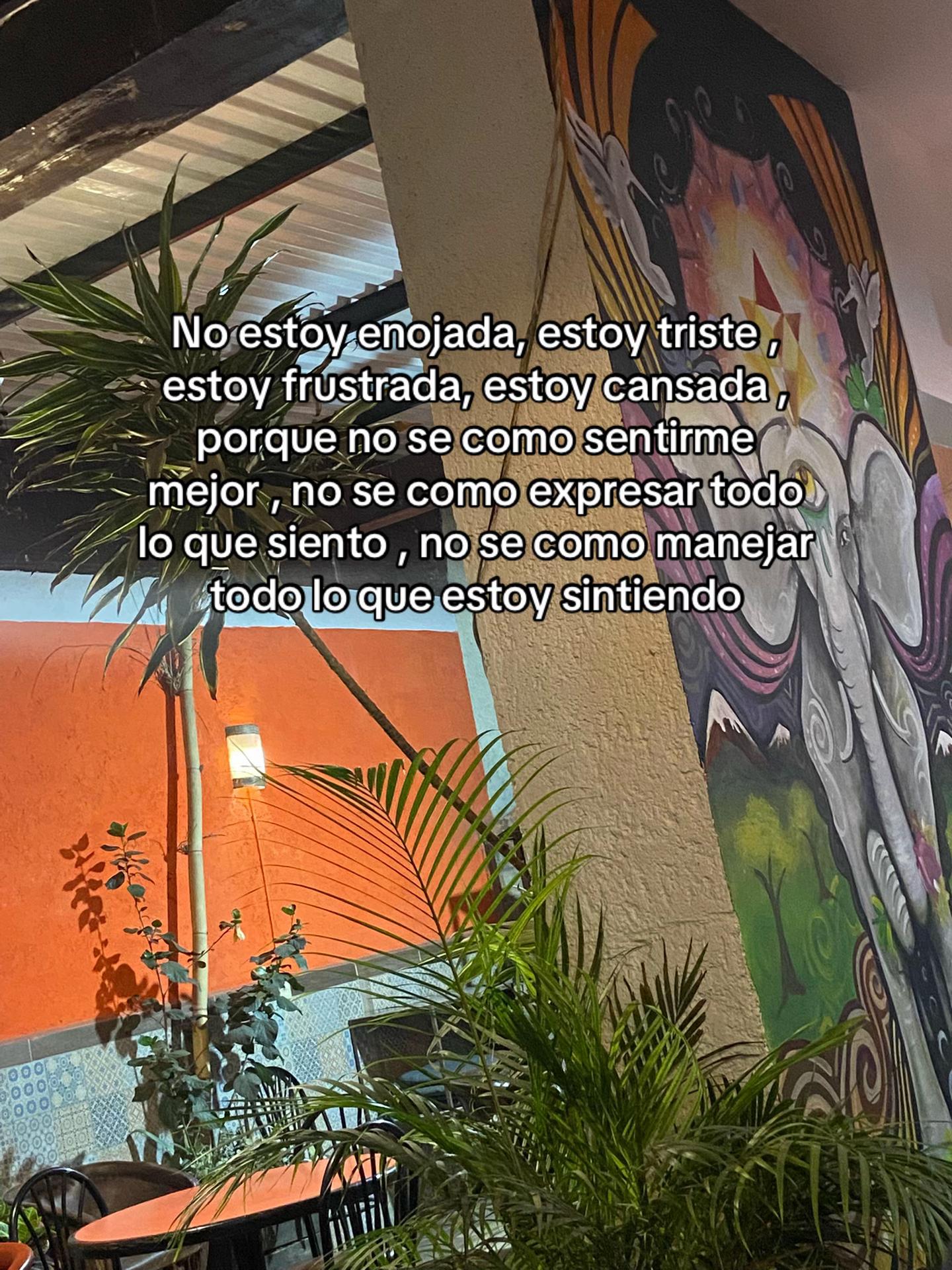 @Maria José Merino