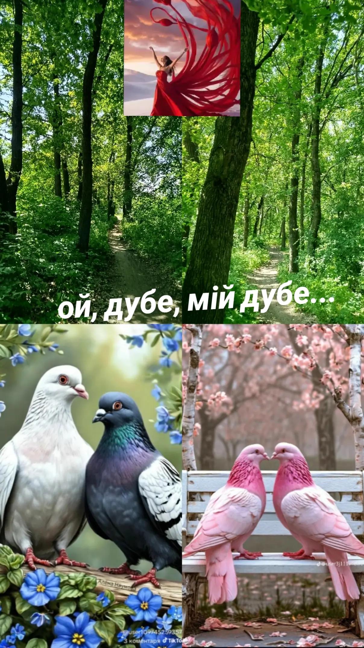 @NinaPianyk