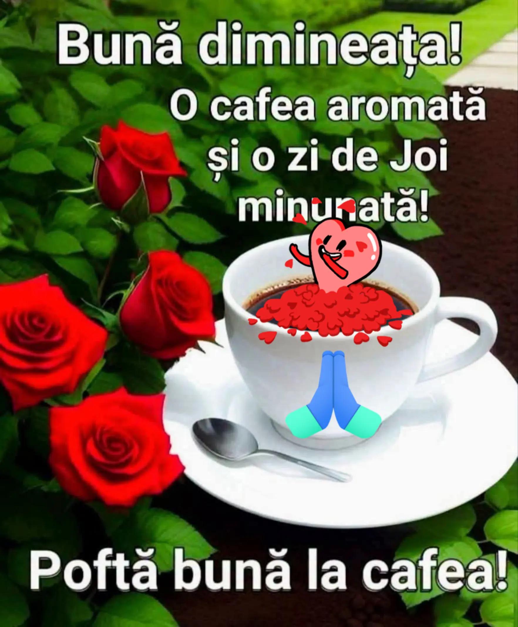 @Iulian Filiuta