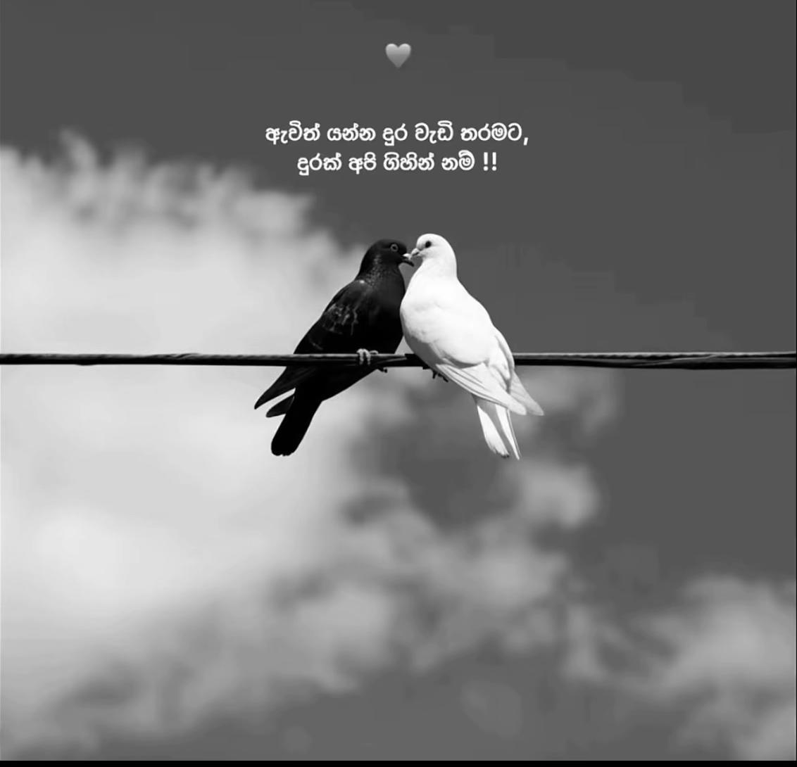 @-__Hiru-_đ_Girl-__đ±đ°đ¶đŠ