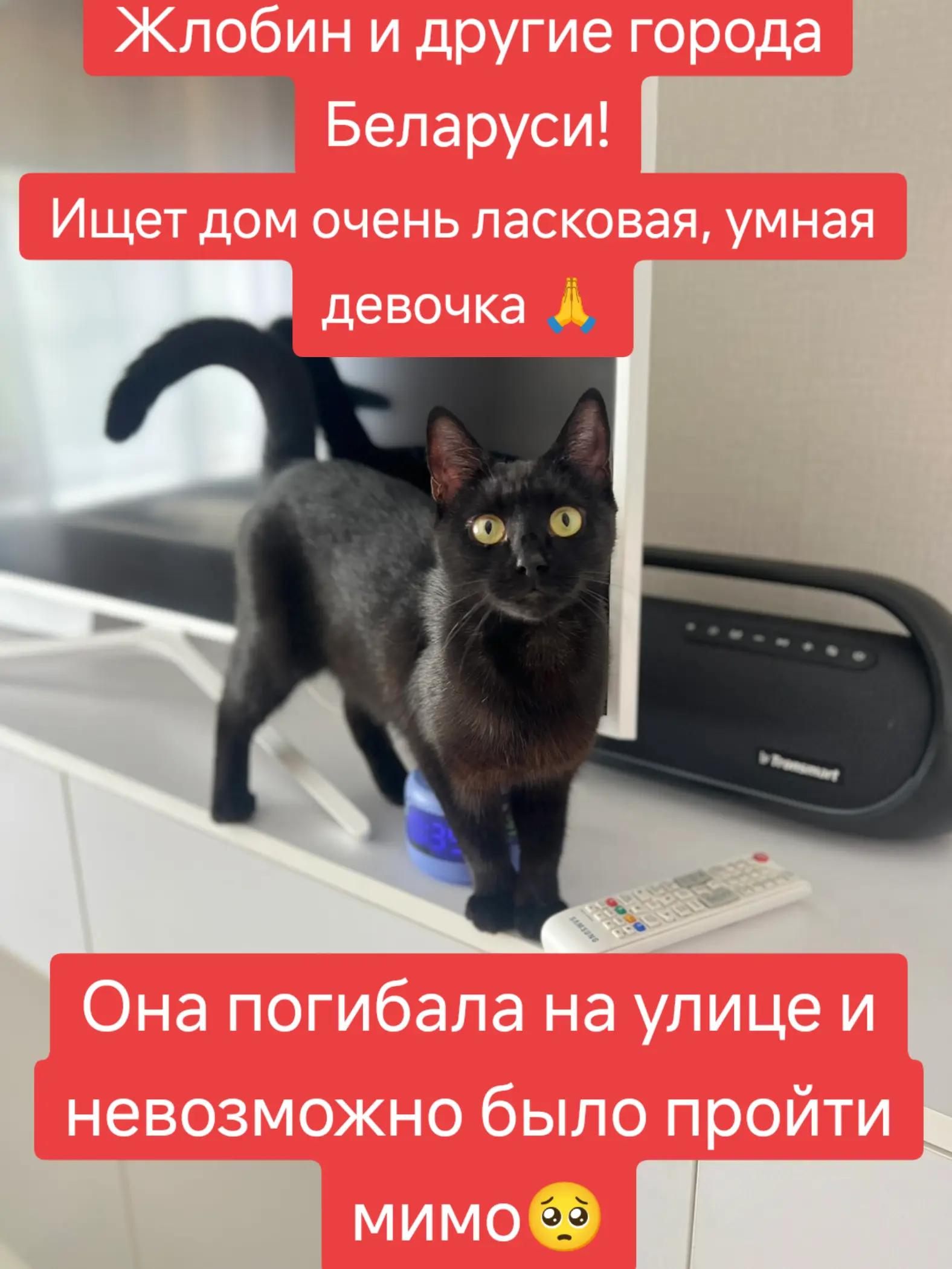 @Светлана Козлова