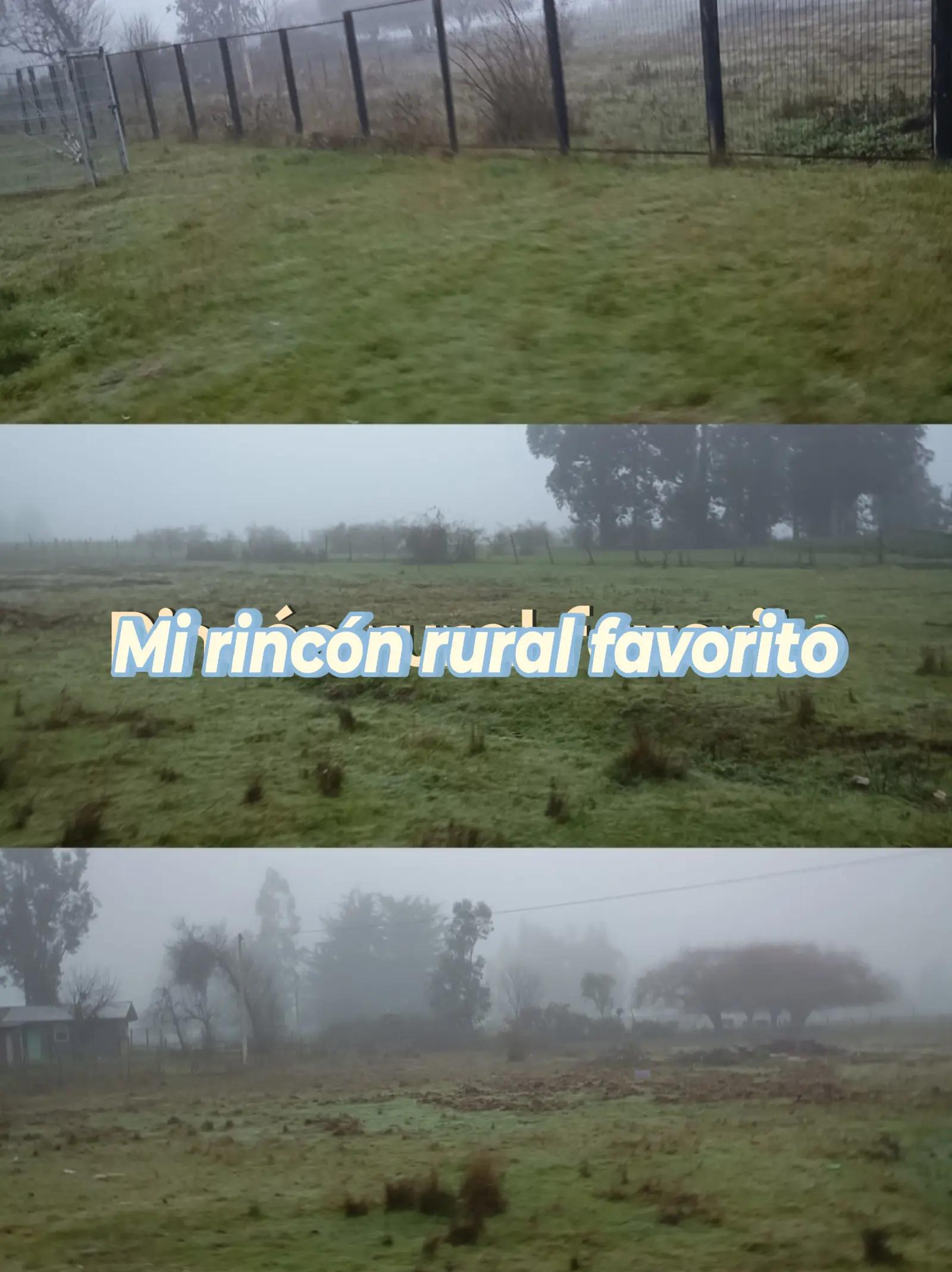 @martamillan772
