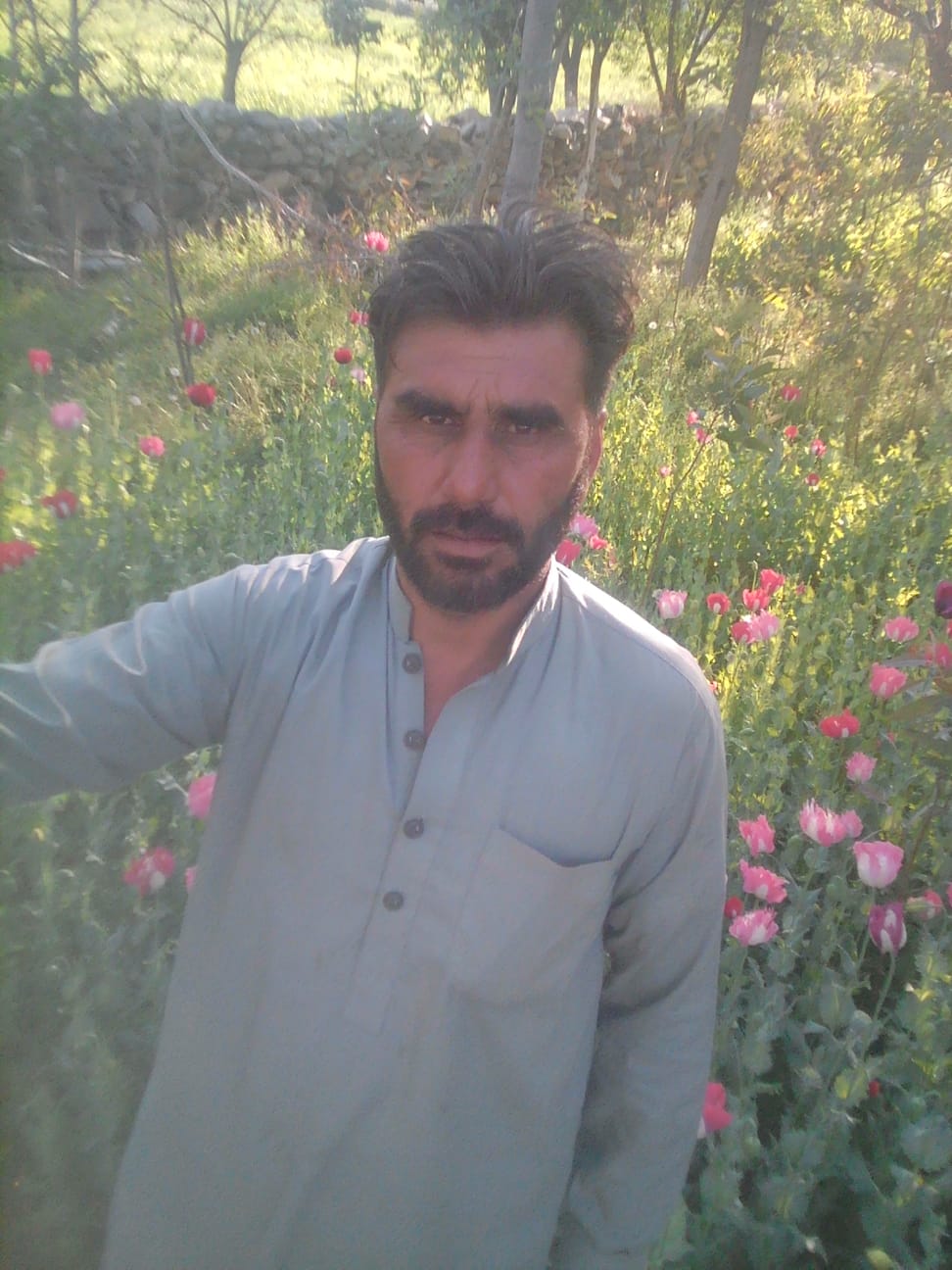 @barkatkhan5972