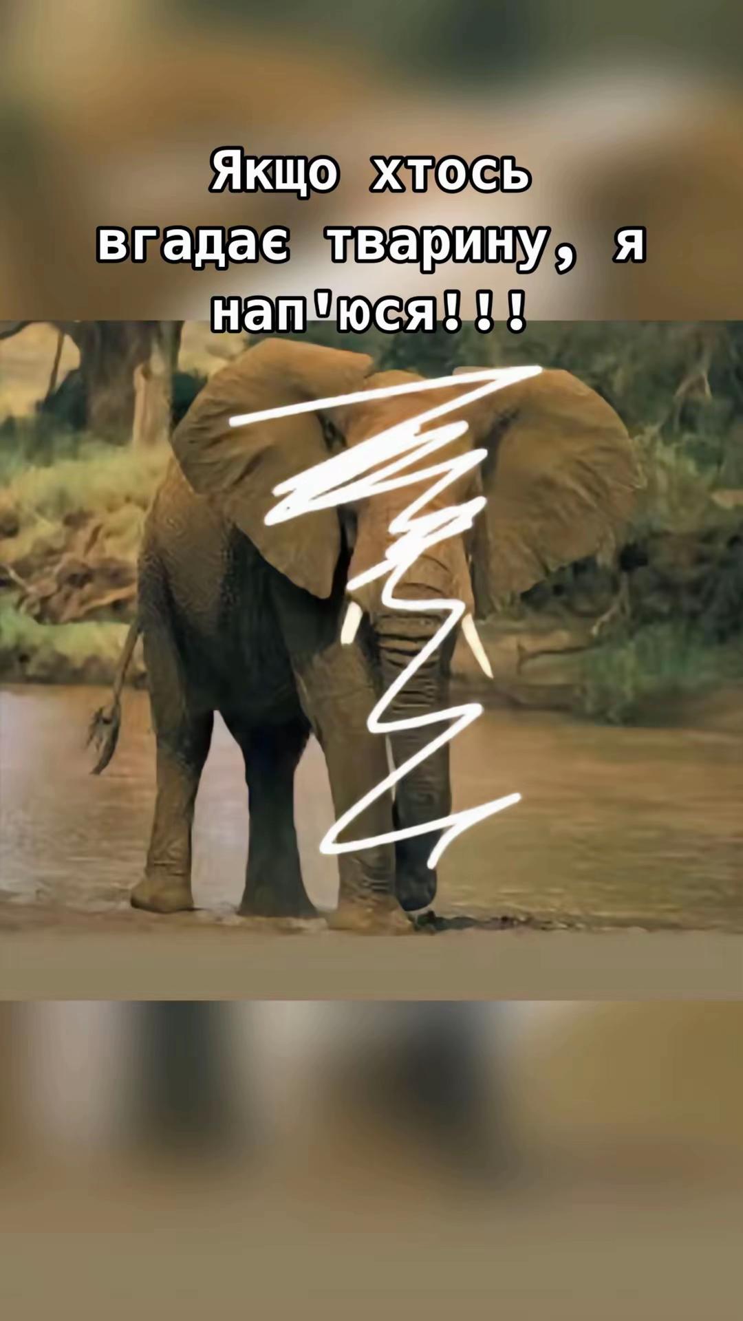 @Daiana