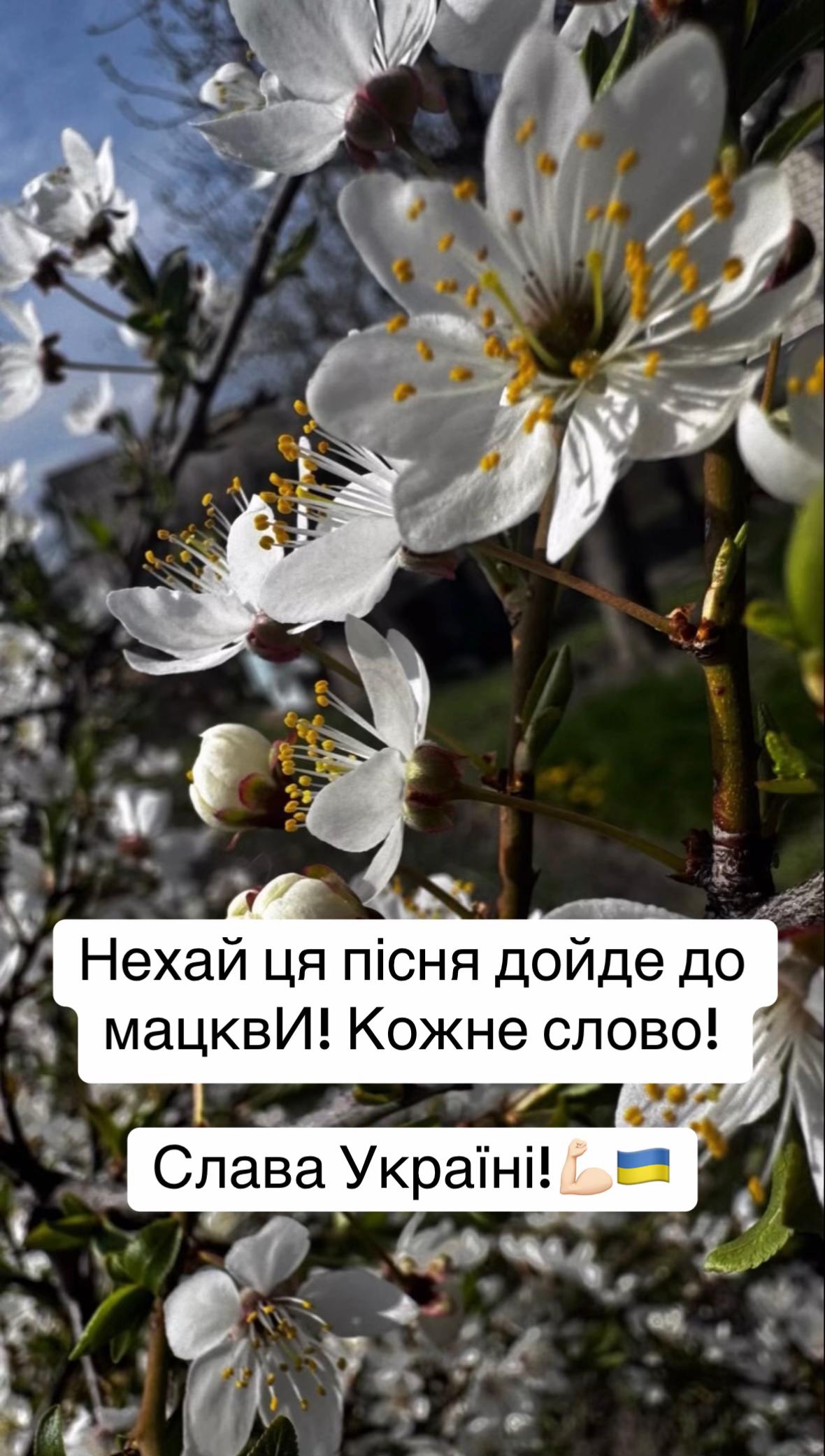 @_brunet_v_