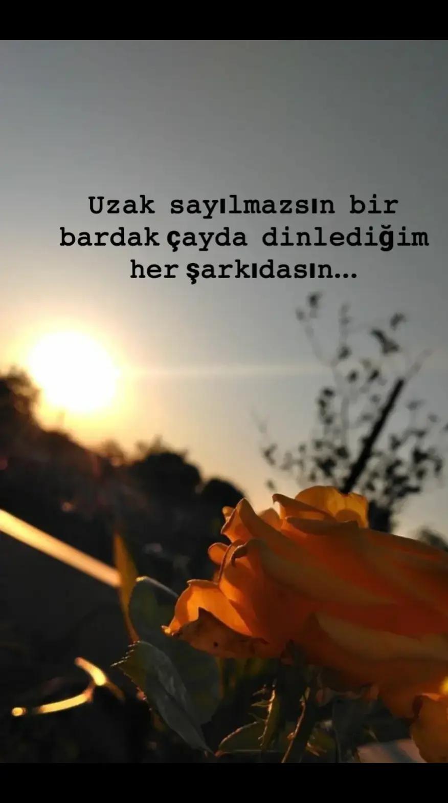 @özlem yanteri