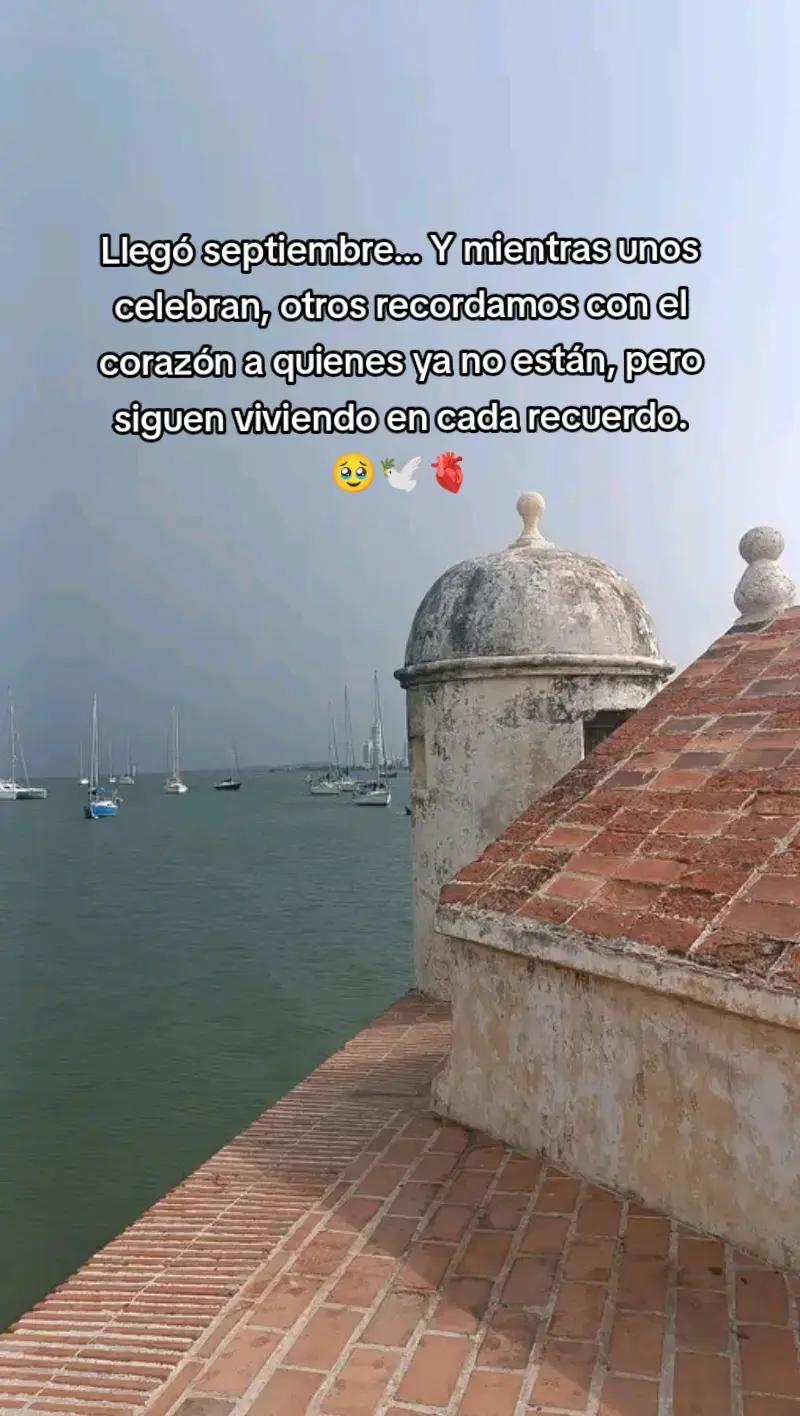 @✨️🌸Luz🌸✨️