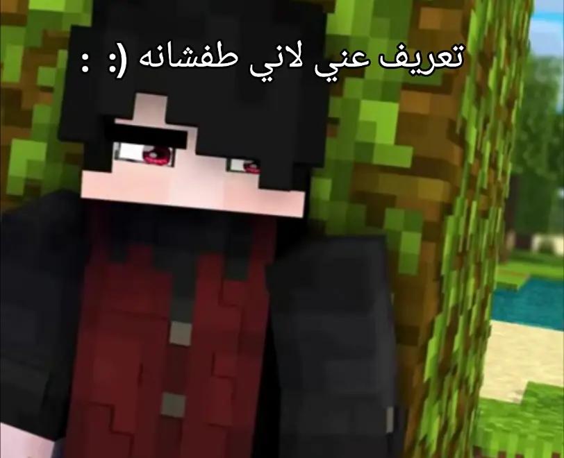 @الرئيس التنفيذي القحـطاني