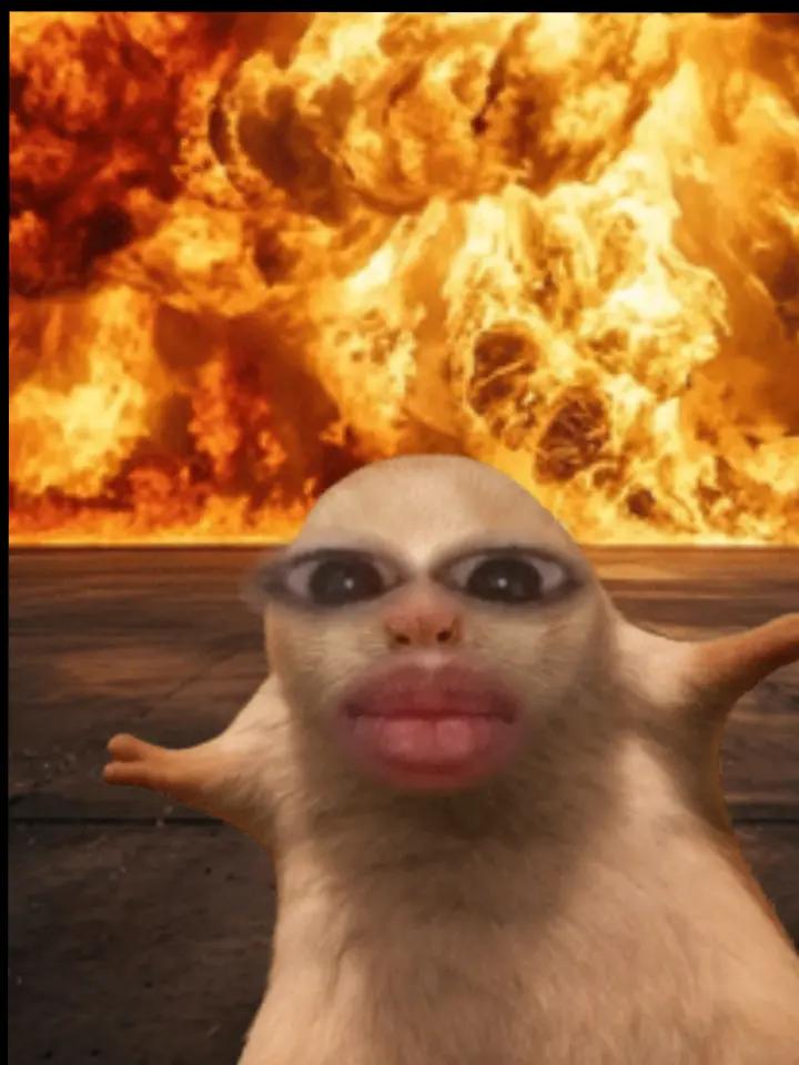 @junzz
